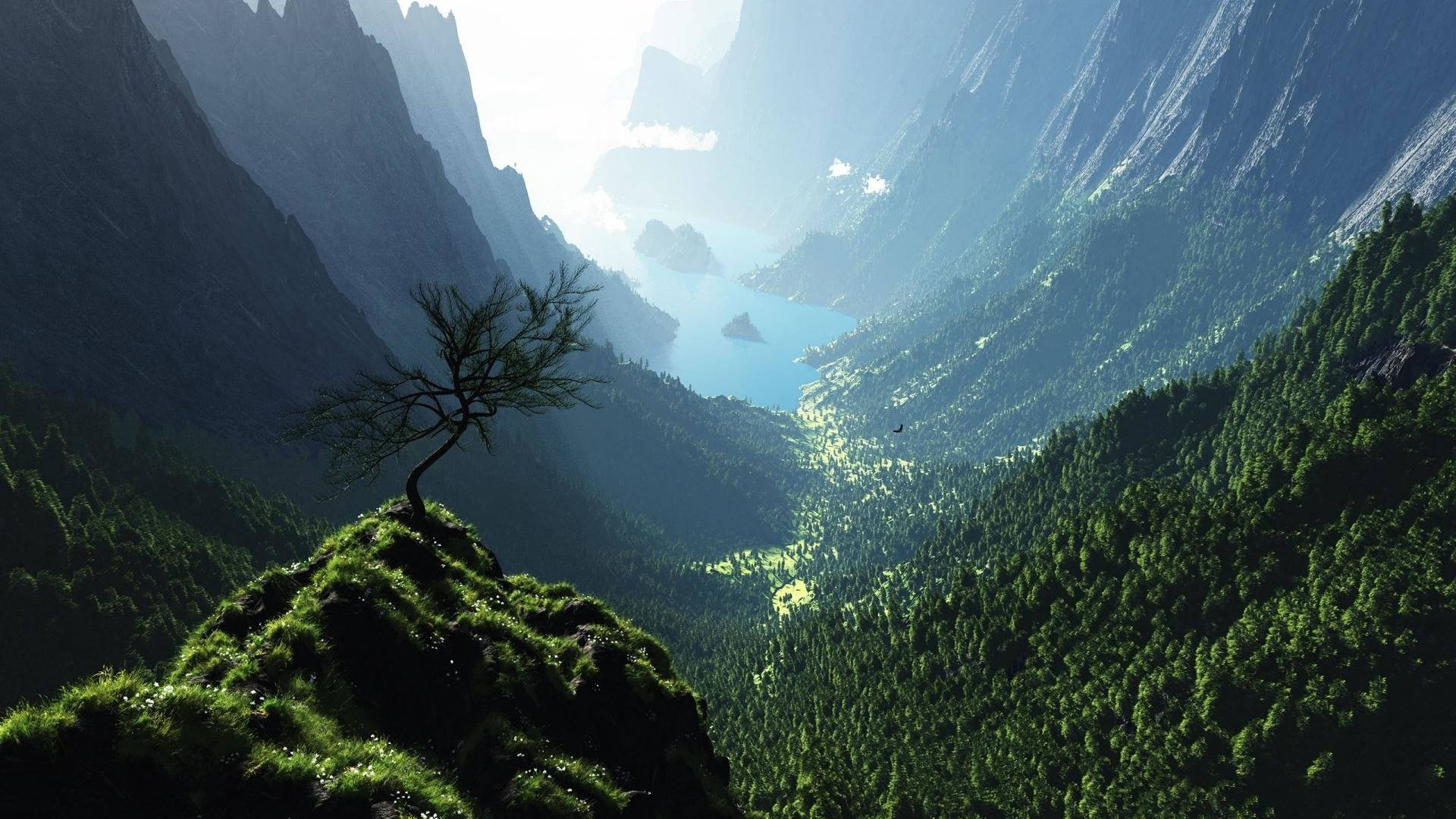 HD Mountain, mossy cliff, deep valley, Full HD Desktop Wallpaper