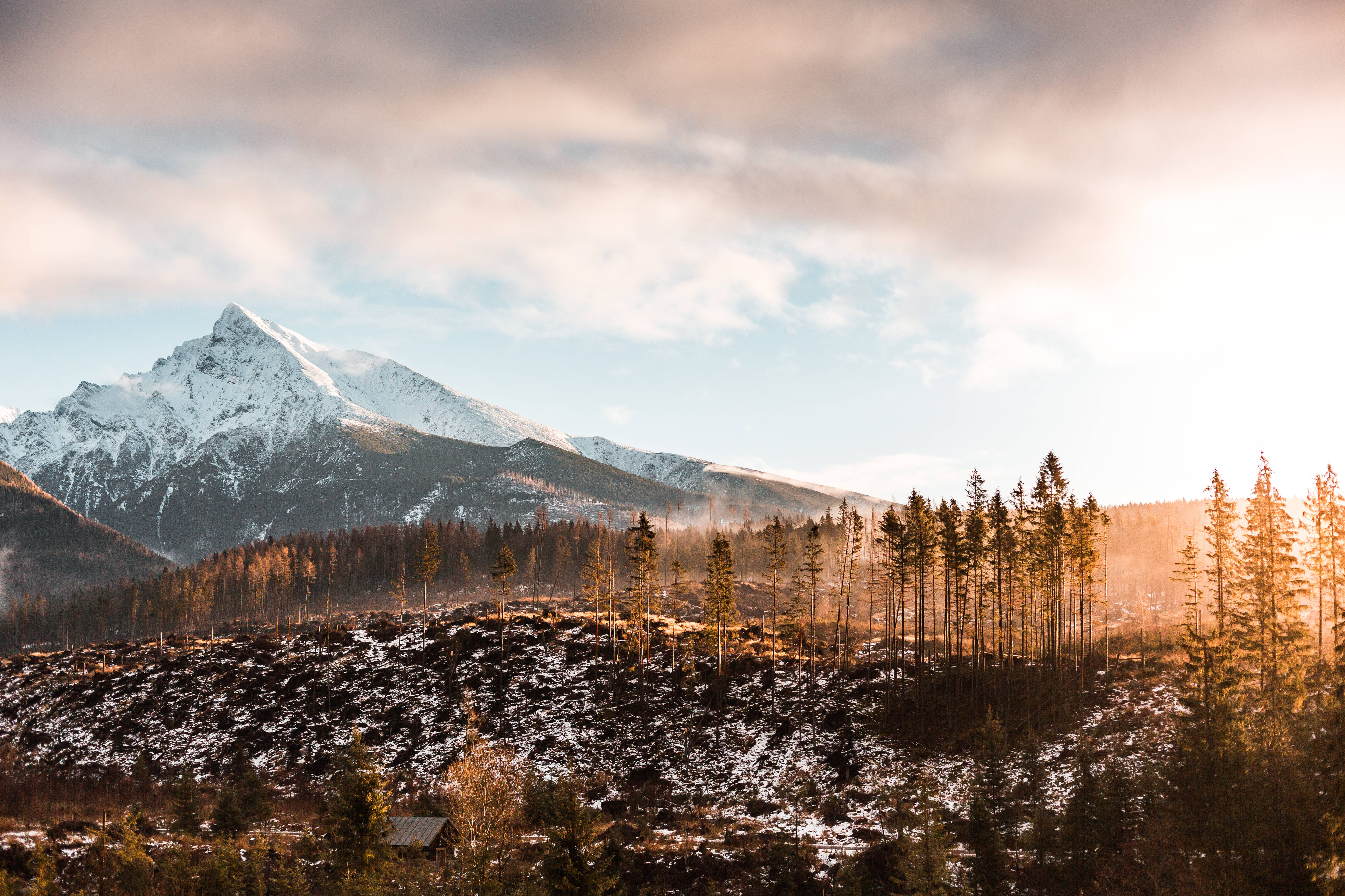 snow capped mountain peaks, forested slope, golden sunrise light, 4K Desktop Wallpaper