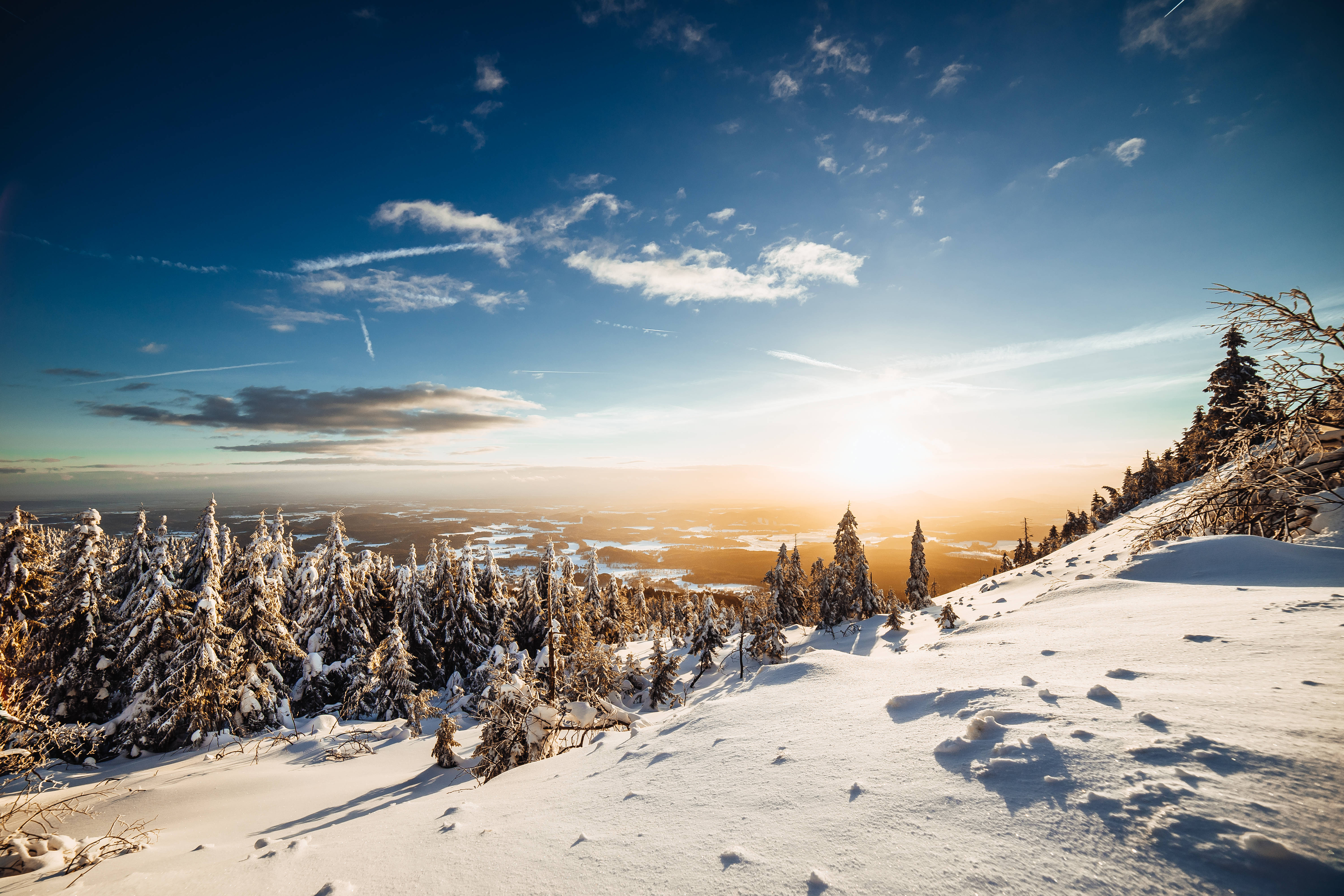 HD Mountain, sunset, snow-covered pine trees, 5K Desktop Wallpaper