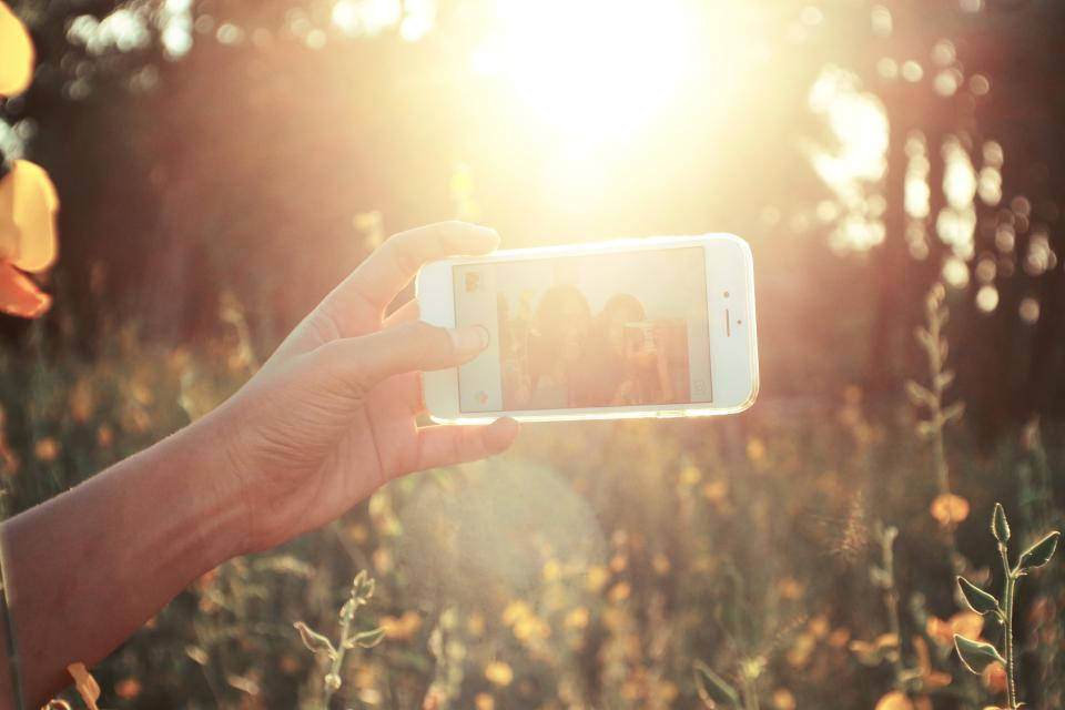 sun-drenched field of wildflowers, golden lens flare, smartphone, SD Desktop Wallpaper