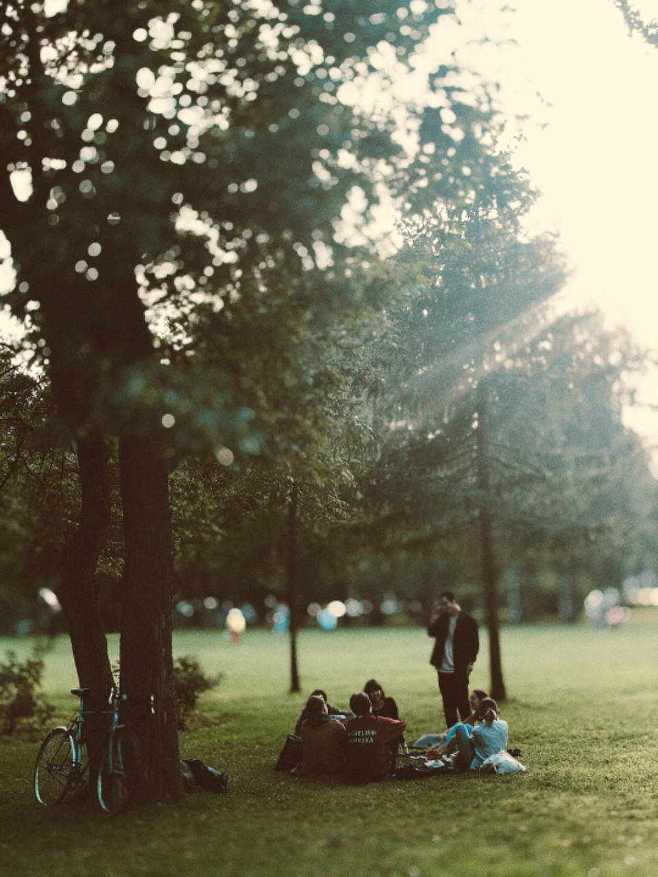 HD Nature Phone, park, grass, HD Phone Wallpaper