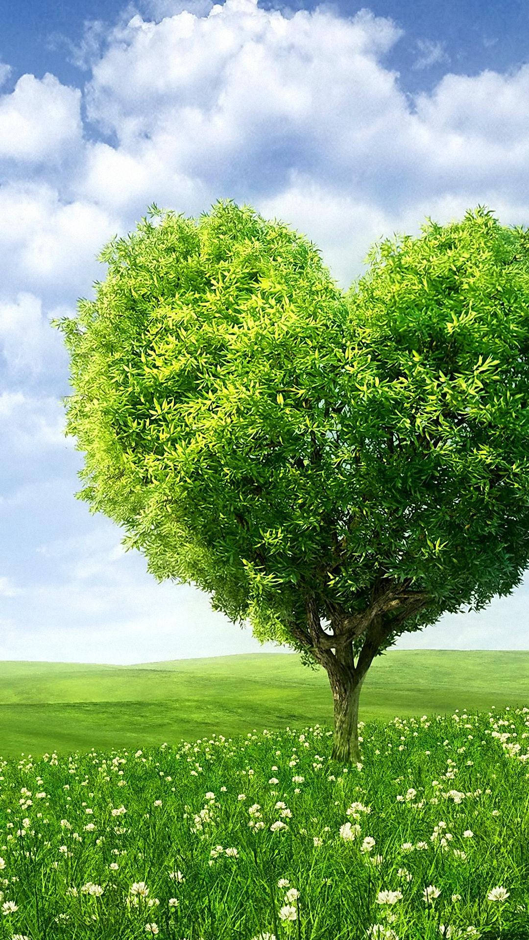 HD Nature Phone, heart tree, lush green tree, Full HD Phone Wallpaper