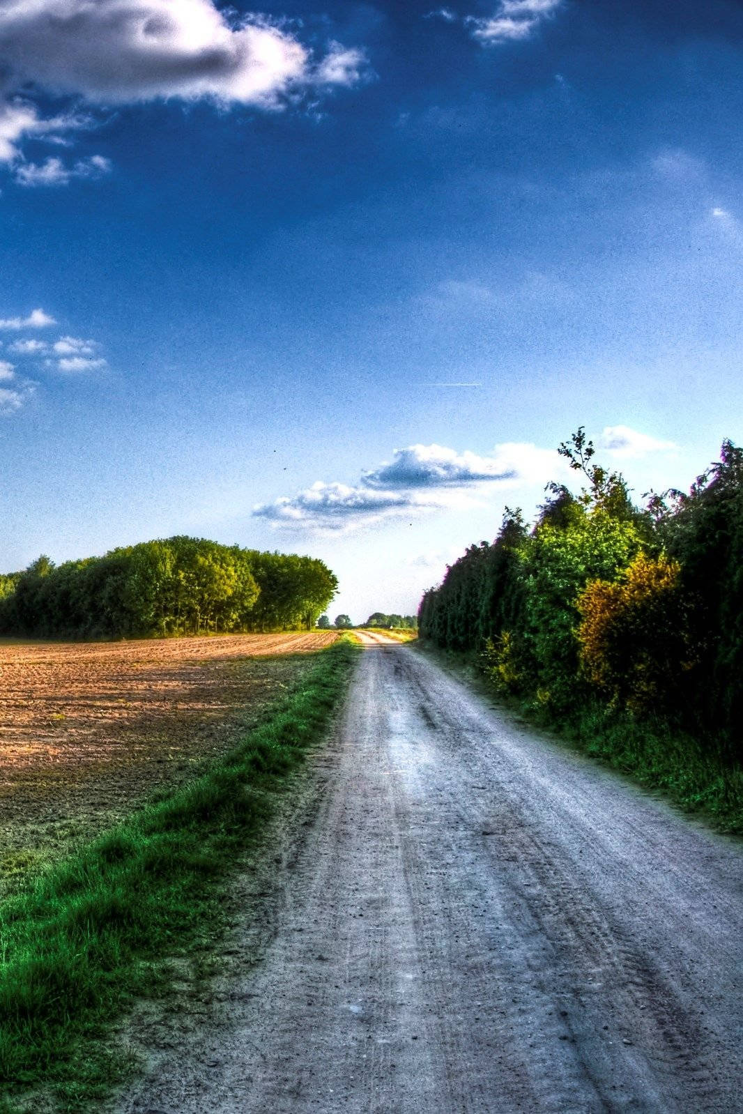 HD Nature Phone, grass field, dirt road, HD Phone Wallpaper