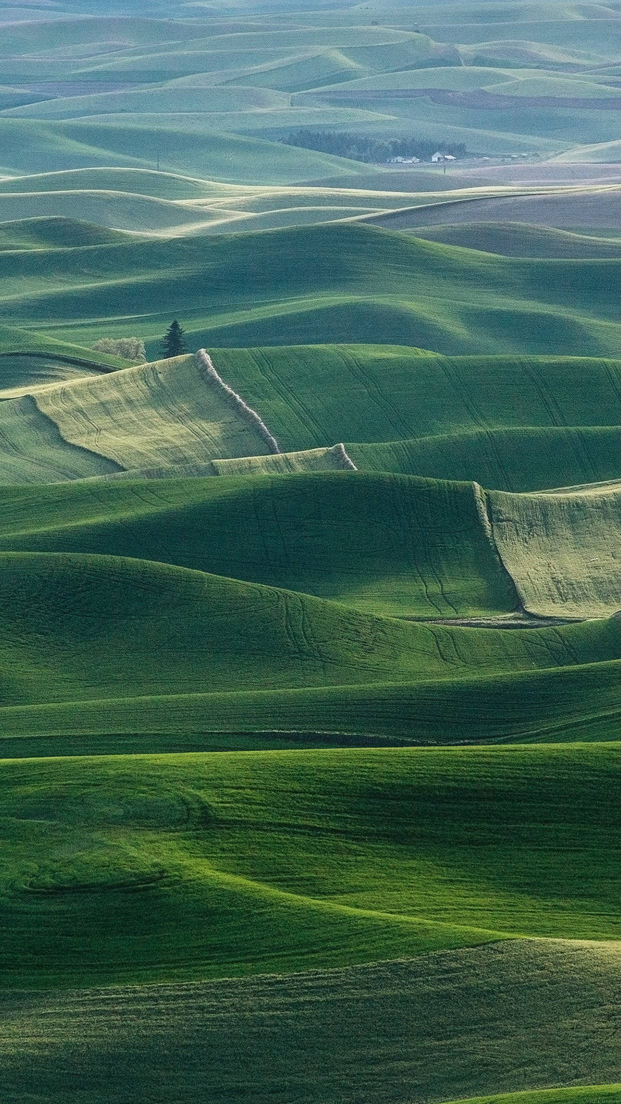 green scenery, rolling green hills, soft sunlight, Full HD Phone Wallpaper