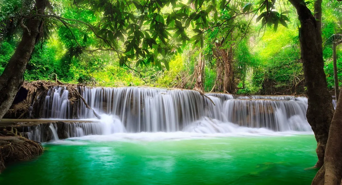 HD Nature