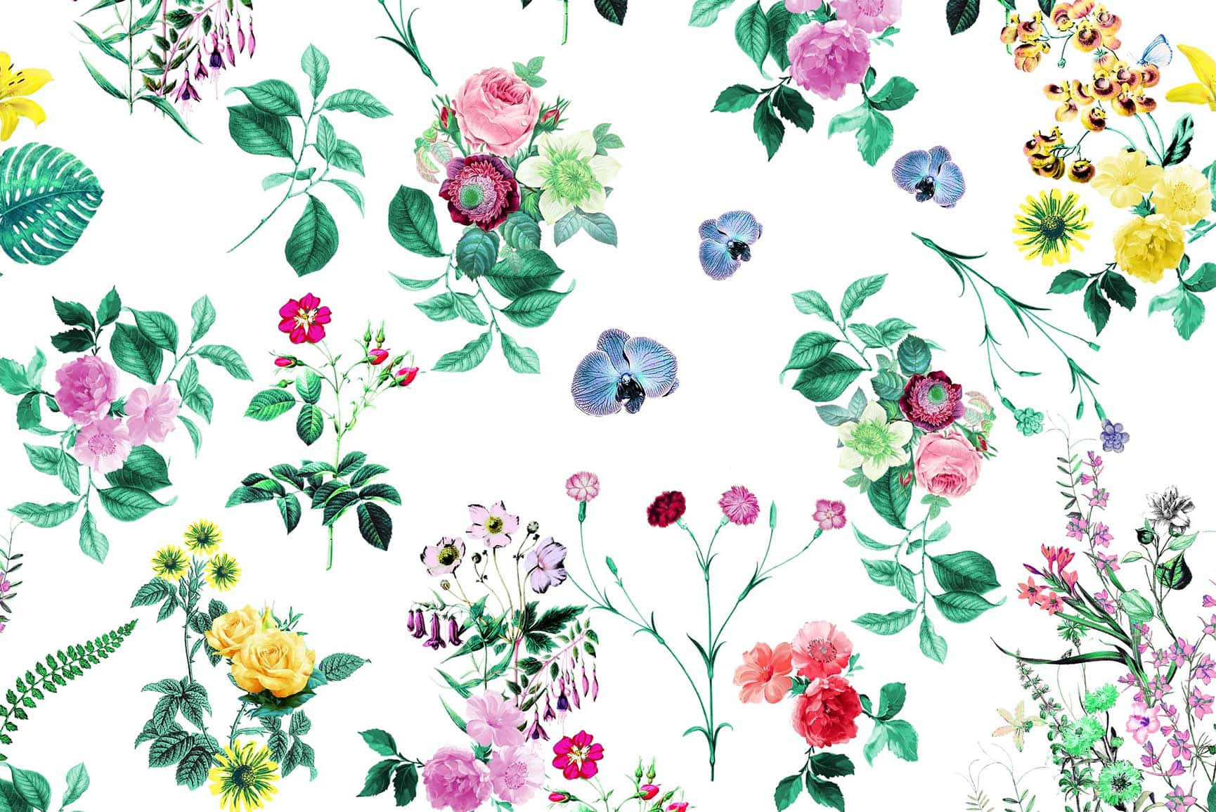 HD Pattern, multi colored flowers, vibrant watercolor floral bouquet, HD Desktop Wallpaper