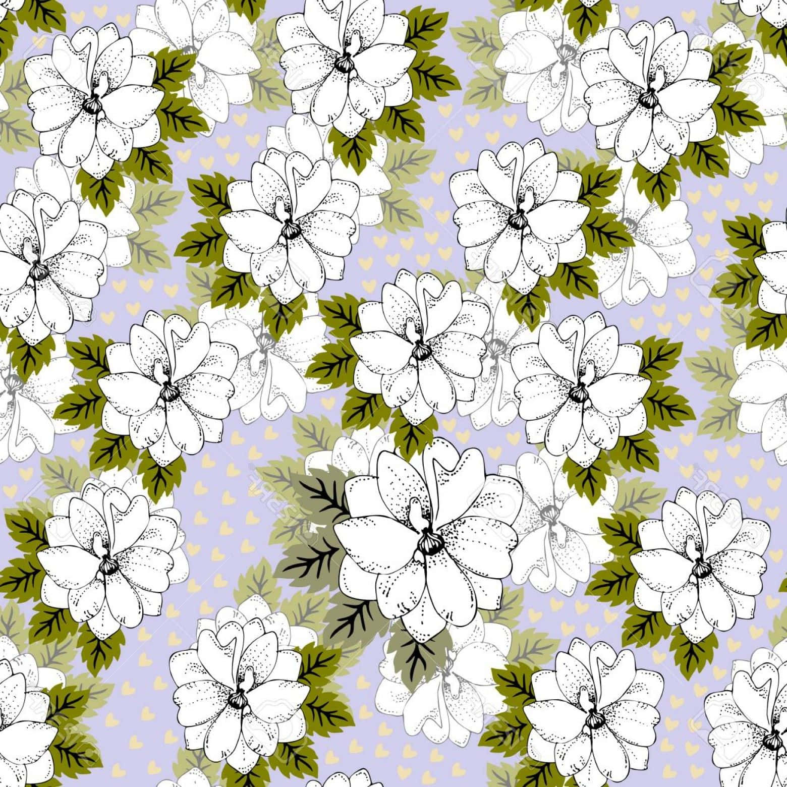 jasmine flowers, lavender background, white outlined flowers, HD Desktop Wallpaper