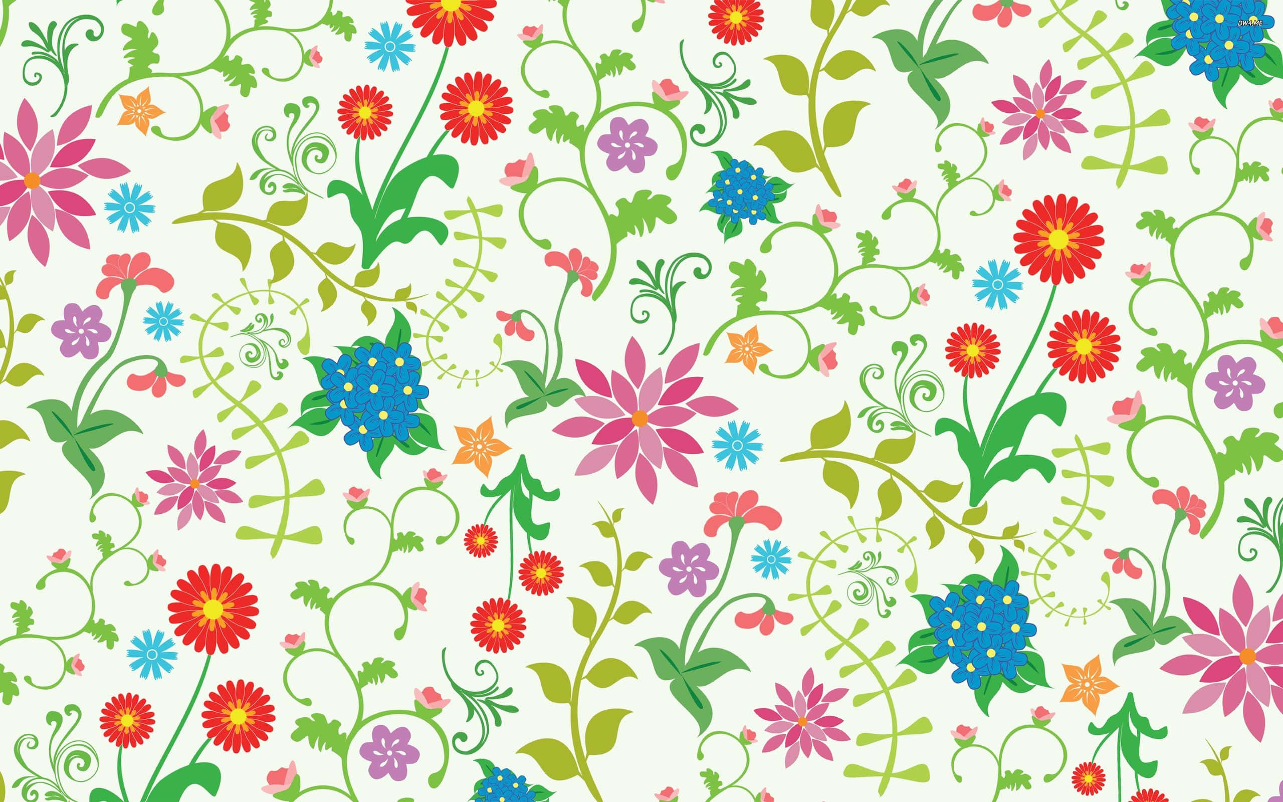 colorful flowers, red, pink, 2K Desktop Wallpaper