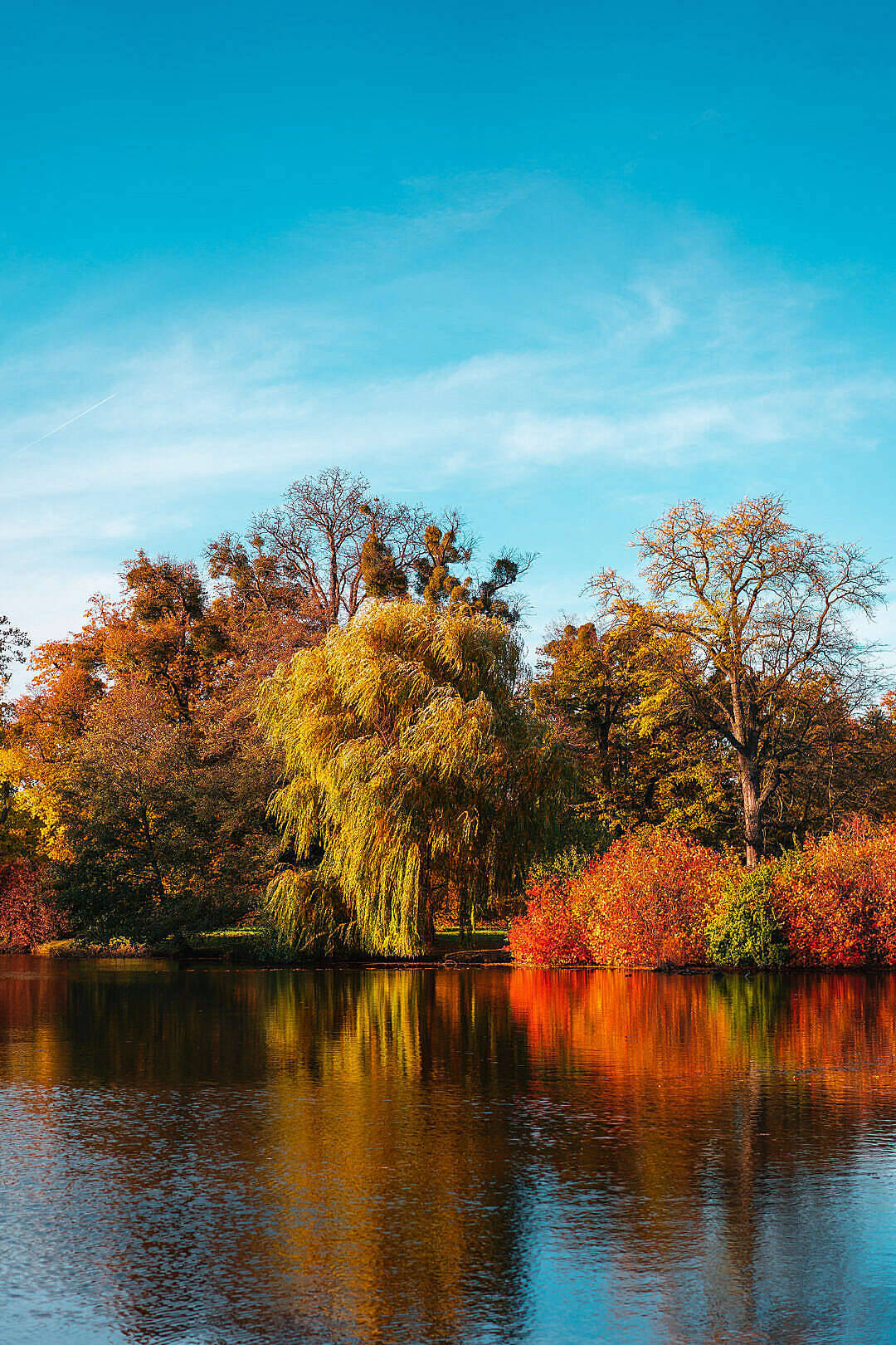 lake, fall colors, autumn trees, HD Phone Wallpaper