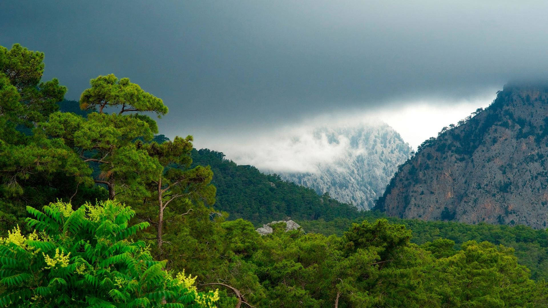 misty mountain valley, brooding gray sky, rocky peaks, Full HD Desktop Wallpaper
