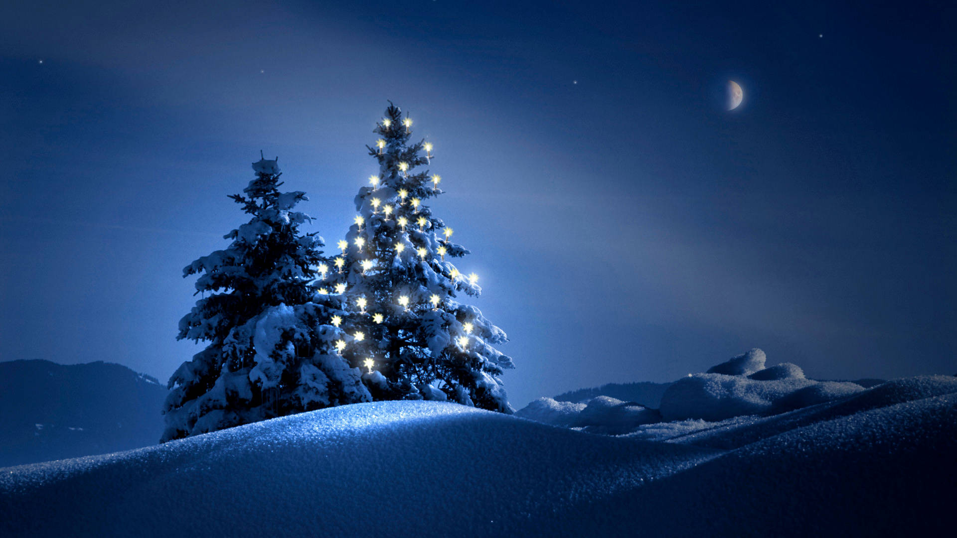 HD Scenery, Night, Christmas Tree, Full HD Desktop Wallpaper