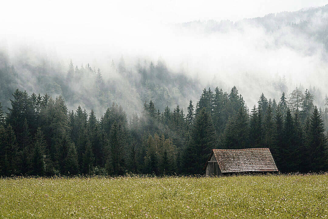 misty morning, wooden cabin, sunlit meadow, SD Desktop Wallpaper