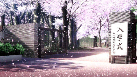 cherry blossoms, sunlight filtering through trees, school entrance, SD Desktop Wallpaper
