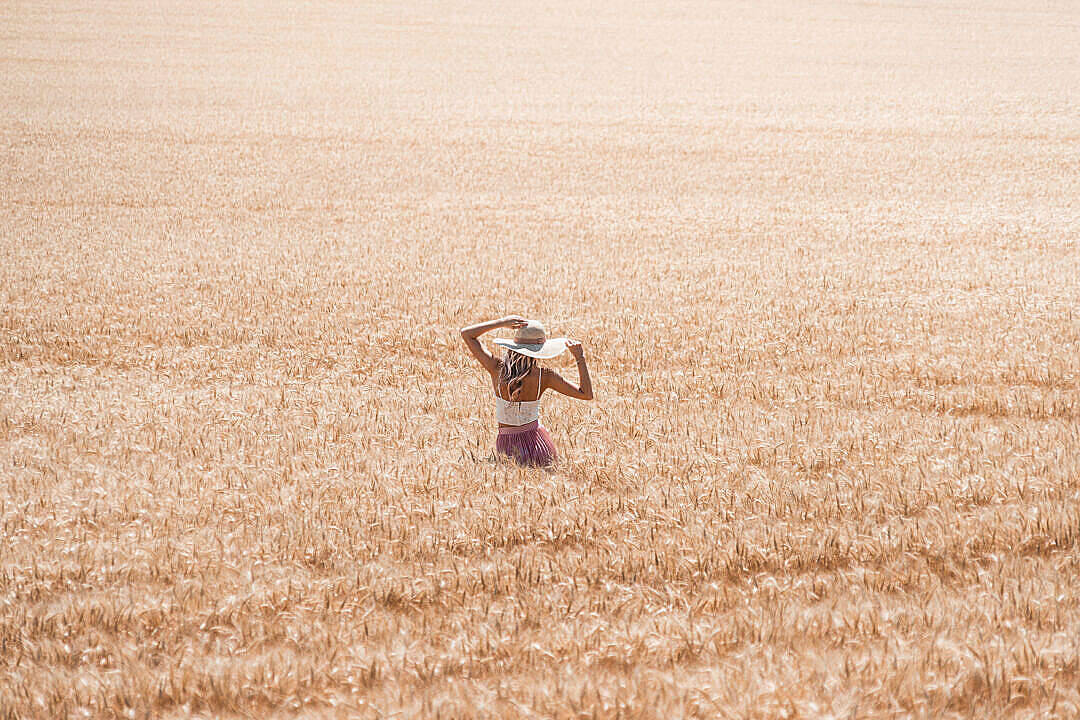 woman, wide-brimmed hat, vast golden wheat field, SD Desktop Wallpaper