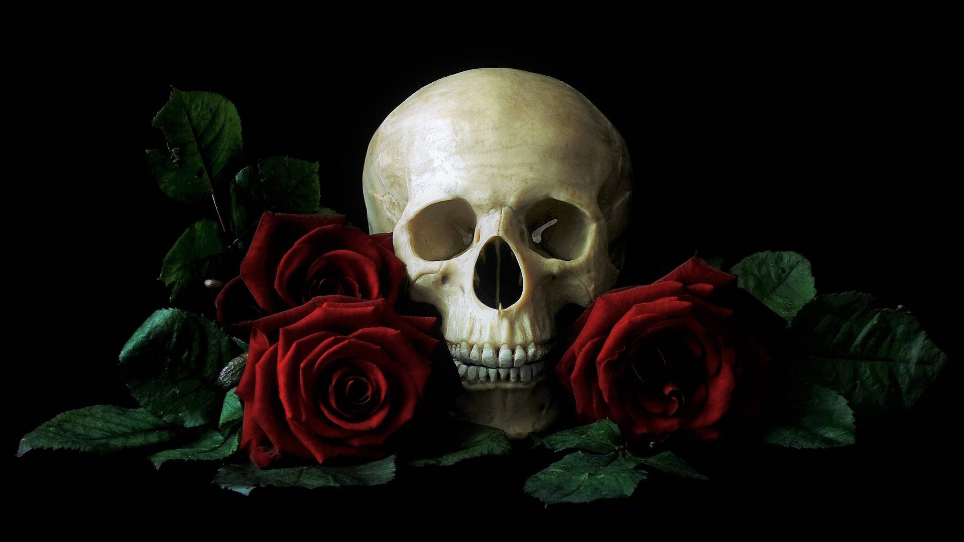 HD Skull, red roses, dark green leaves, Full HD Desktop Wallpaper