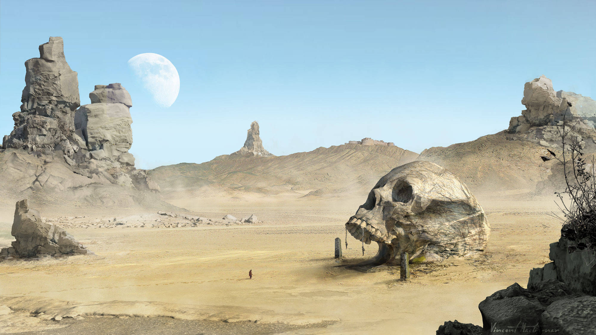 HD Skull, desert, crescent moon, Full HD Desktop Wallpaper