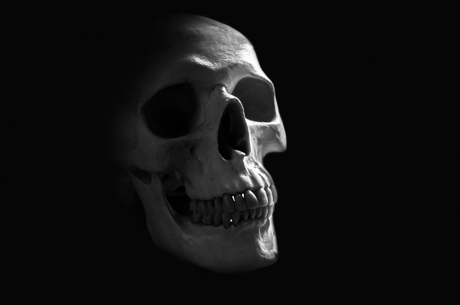 monochromatic, HD Skull, human skull, Full HD Desktop Wallpaper