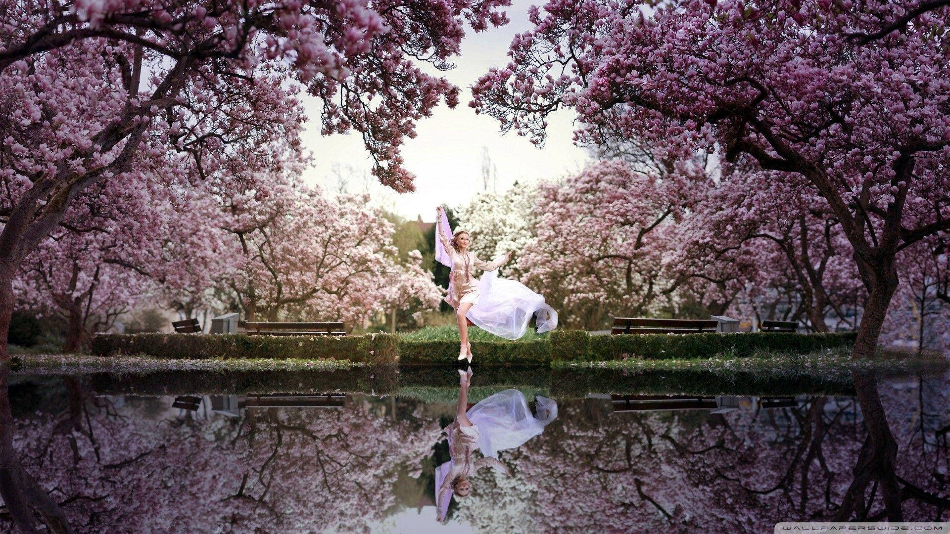 HD Spring, white dress, pink cherry blossoms, Full HD Desktop Wallpaper