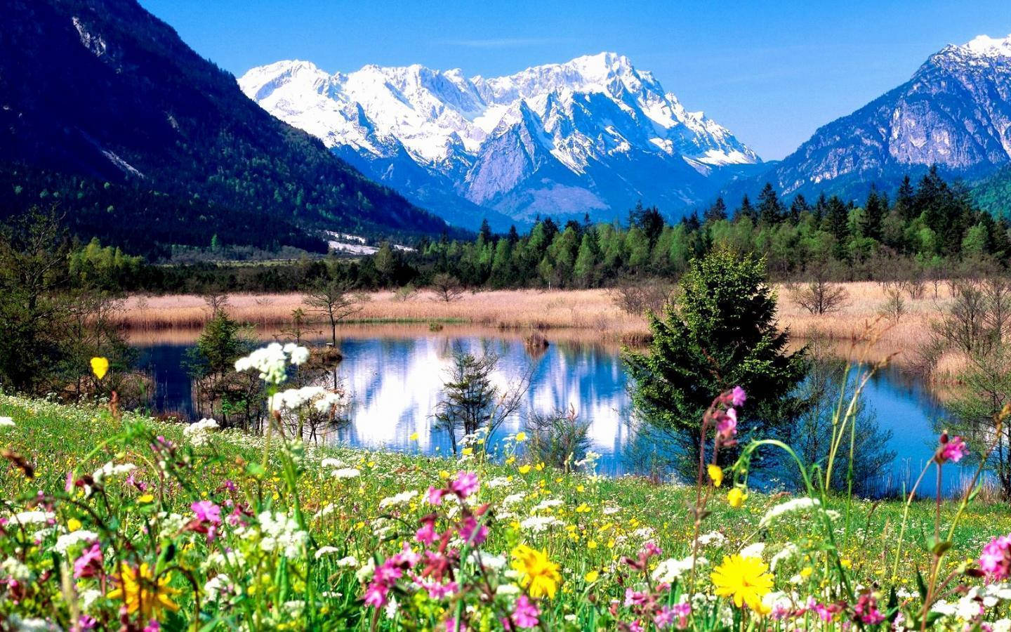 HD Spring, scenic lake, wildflowers, HD Desktop Wallpaper