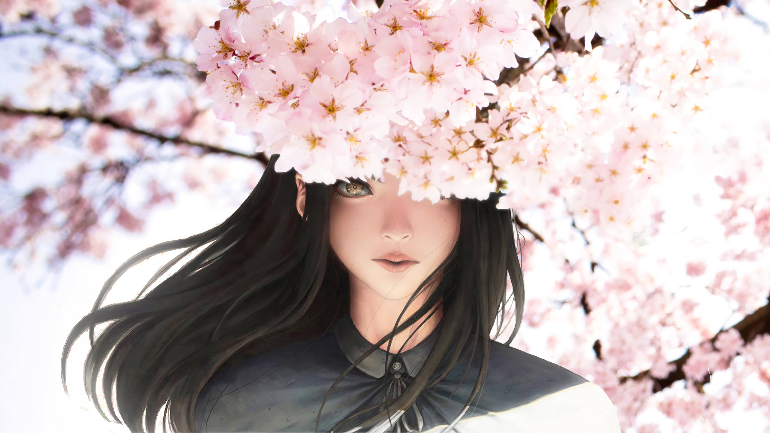 anime girl, long black hair, blossoming cherry tree, 2K Desktop Wallpaper