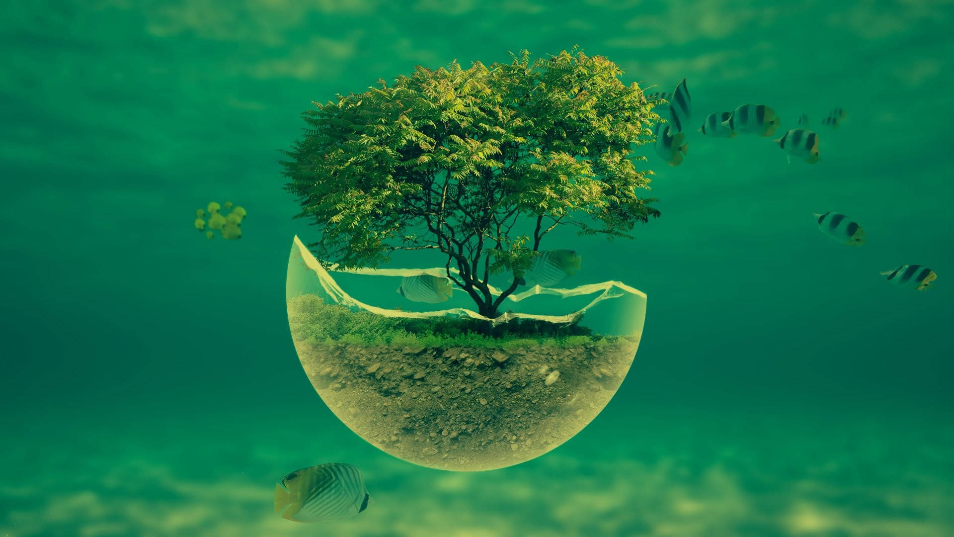 miniature tree, cracked glass dome, green ocean water, Full HD Desktop Wallpaper