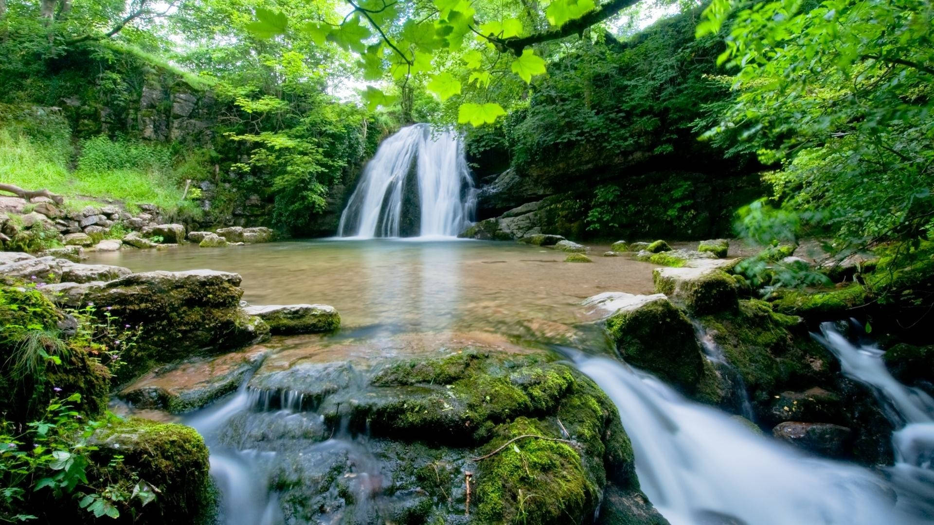 HD Water, greenery, waterfall, Full HD Desktop Wallpaper