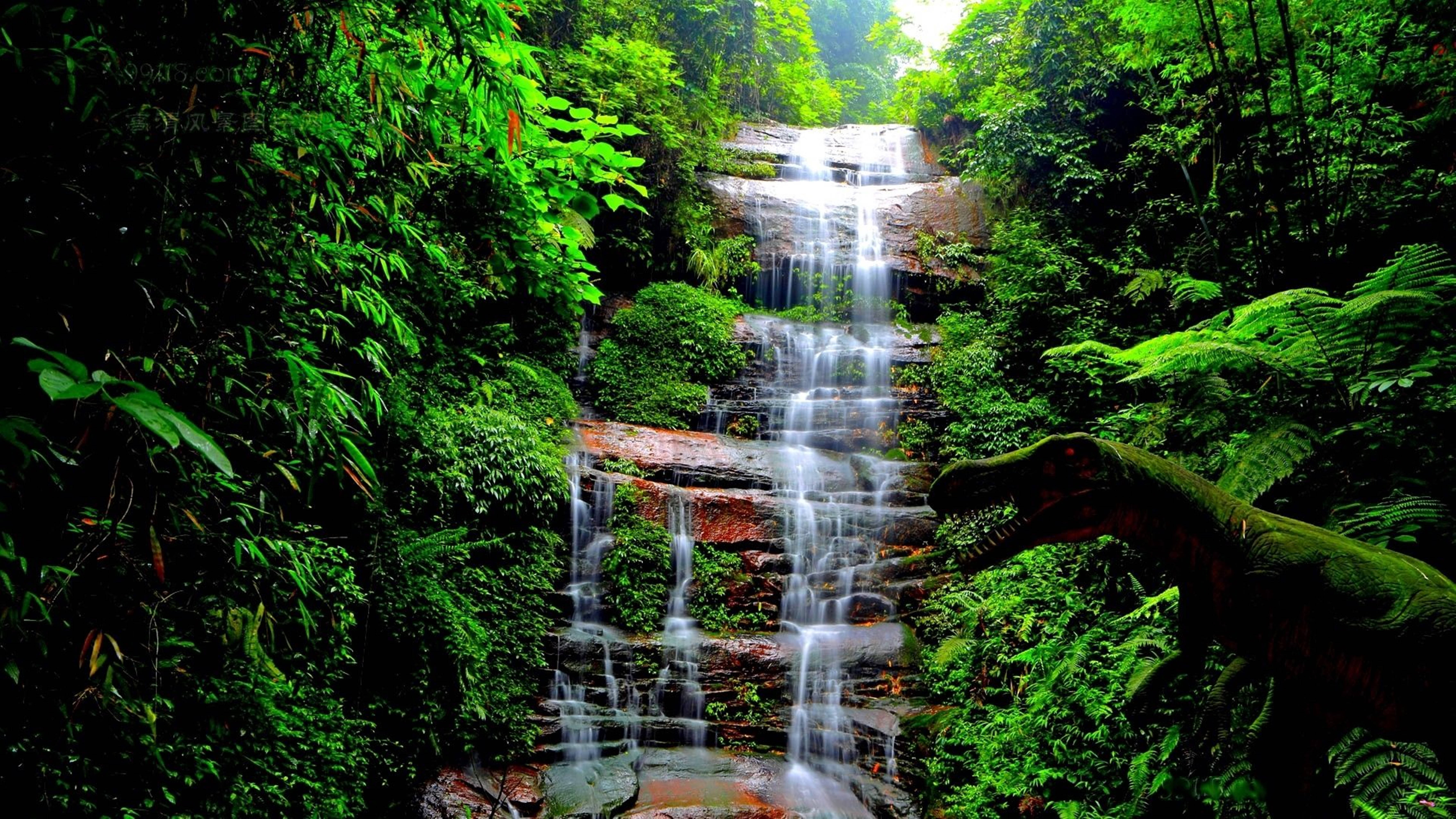 T-rex dinosaur, HD Waterfall, multi-tiered waterfall, 5K Desktop Wallpaper