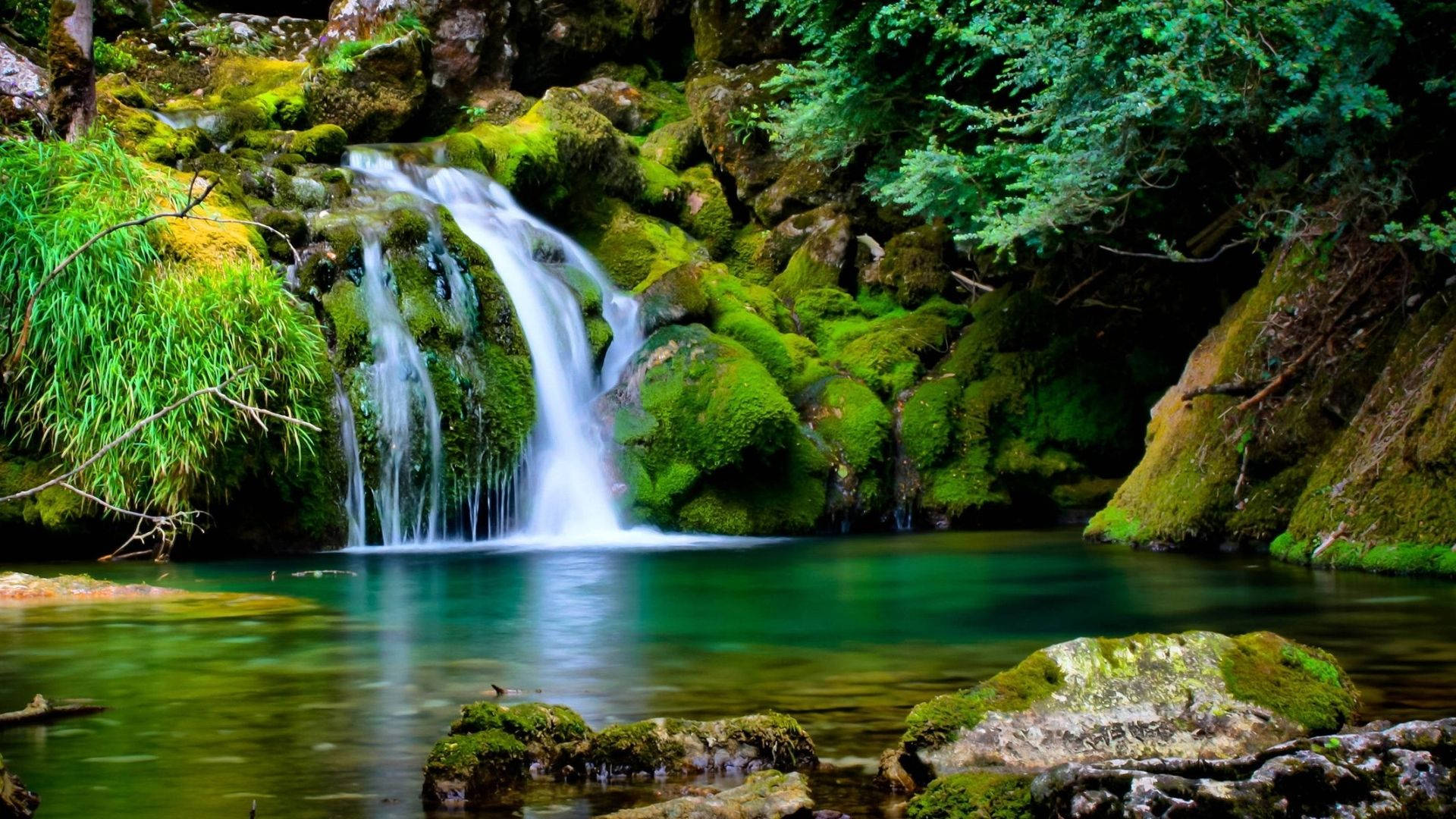 waterfall, mossy rocks, crystal clear pool, Full HD Desktop Wallpaper
