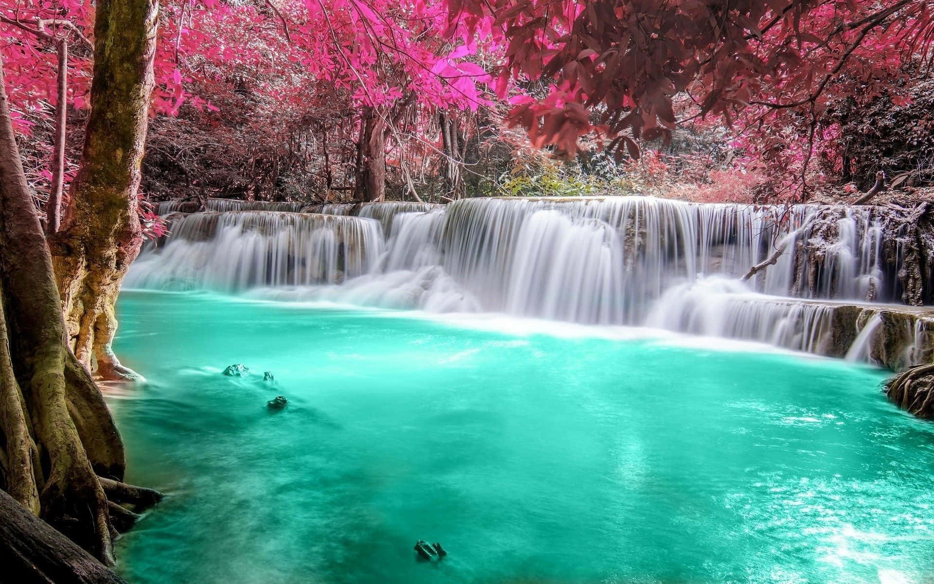 waterfall, turquoise pool, vibrant pink foliage, Full HD Desktop Wallpaper