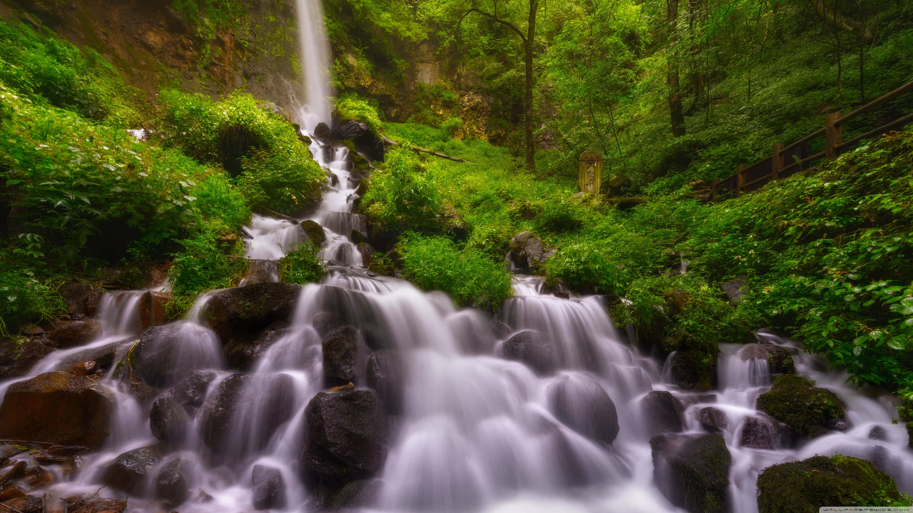 4K Waterfall, pristine nature, mossy rocks, 4K Desktop Wallpaper