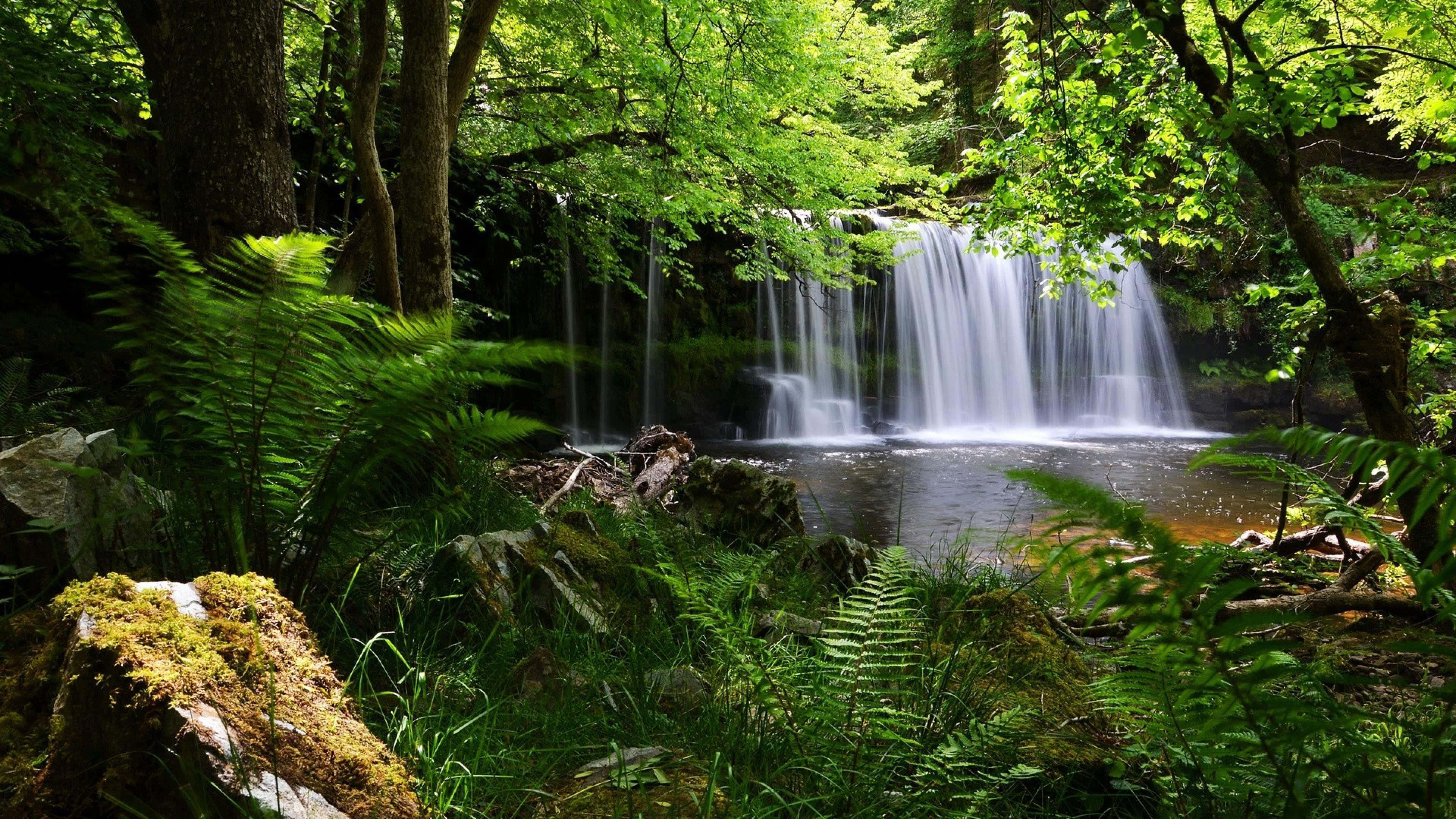 4K, waterfall, forest, 4K Desktop Wallpaper