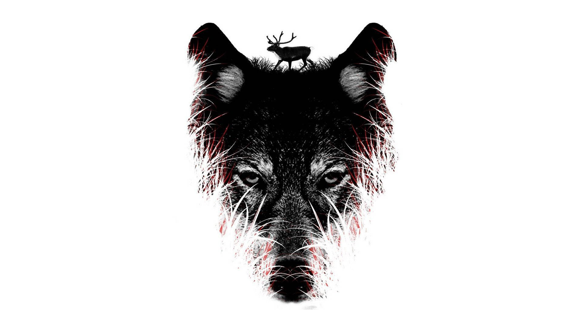 HD Wolf, wolf head, deer, Full HD Desktop Wallpaper