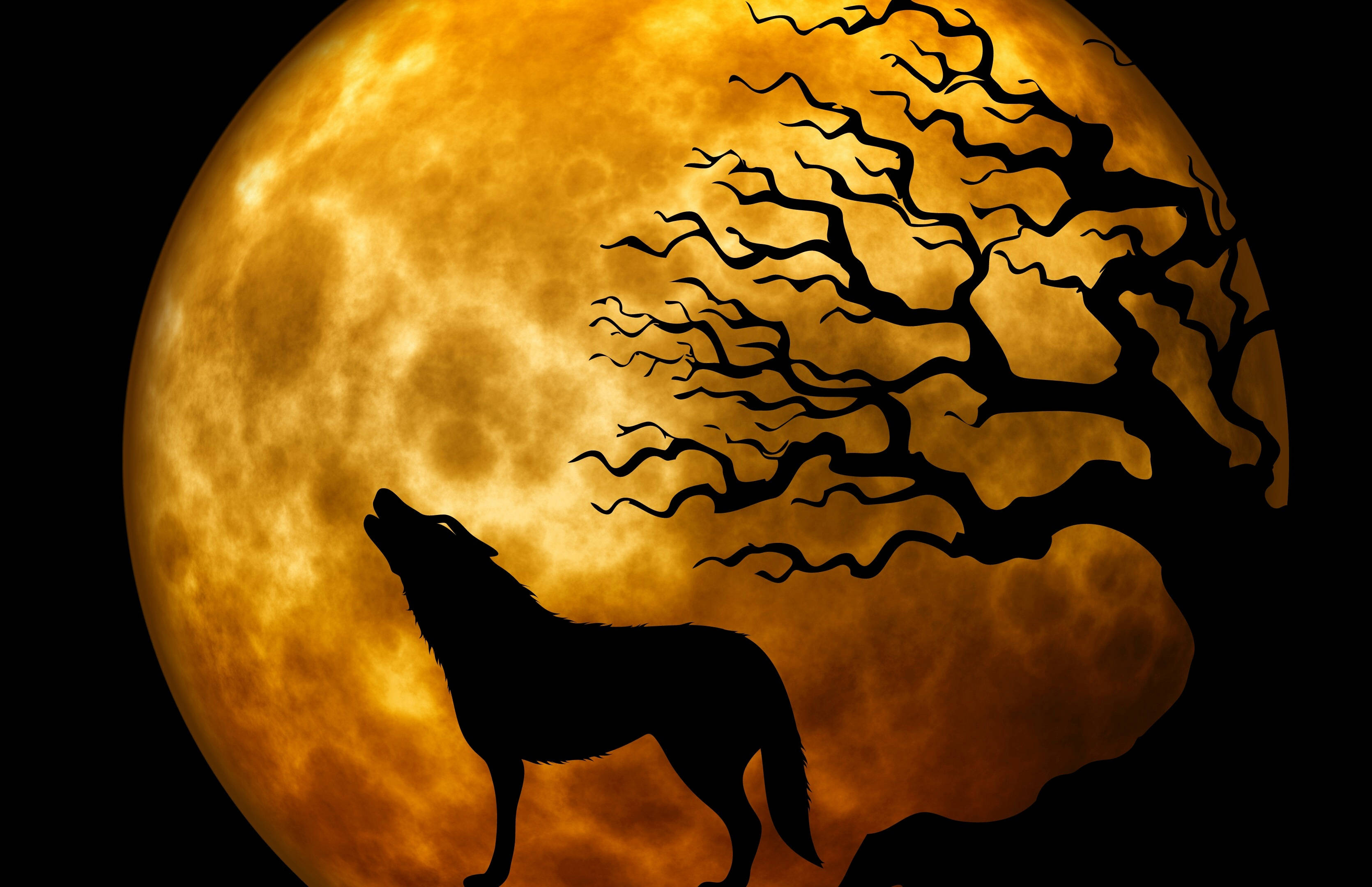HD Wolf, full moon, glowing orange full moon, 2K Desktop Wallpaper