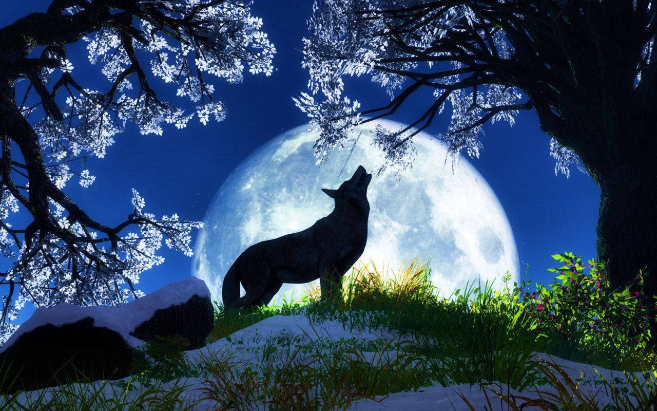 howling wolf, giant moon, snow-dusted cherry blossom trees, HD Desktop Wallpaper