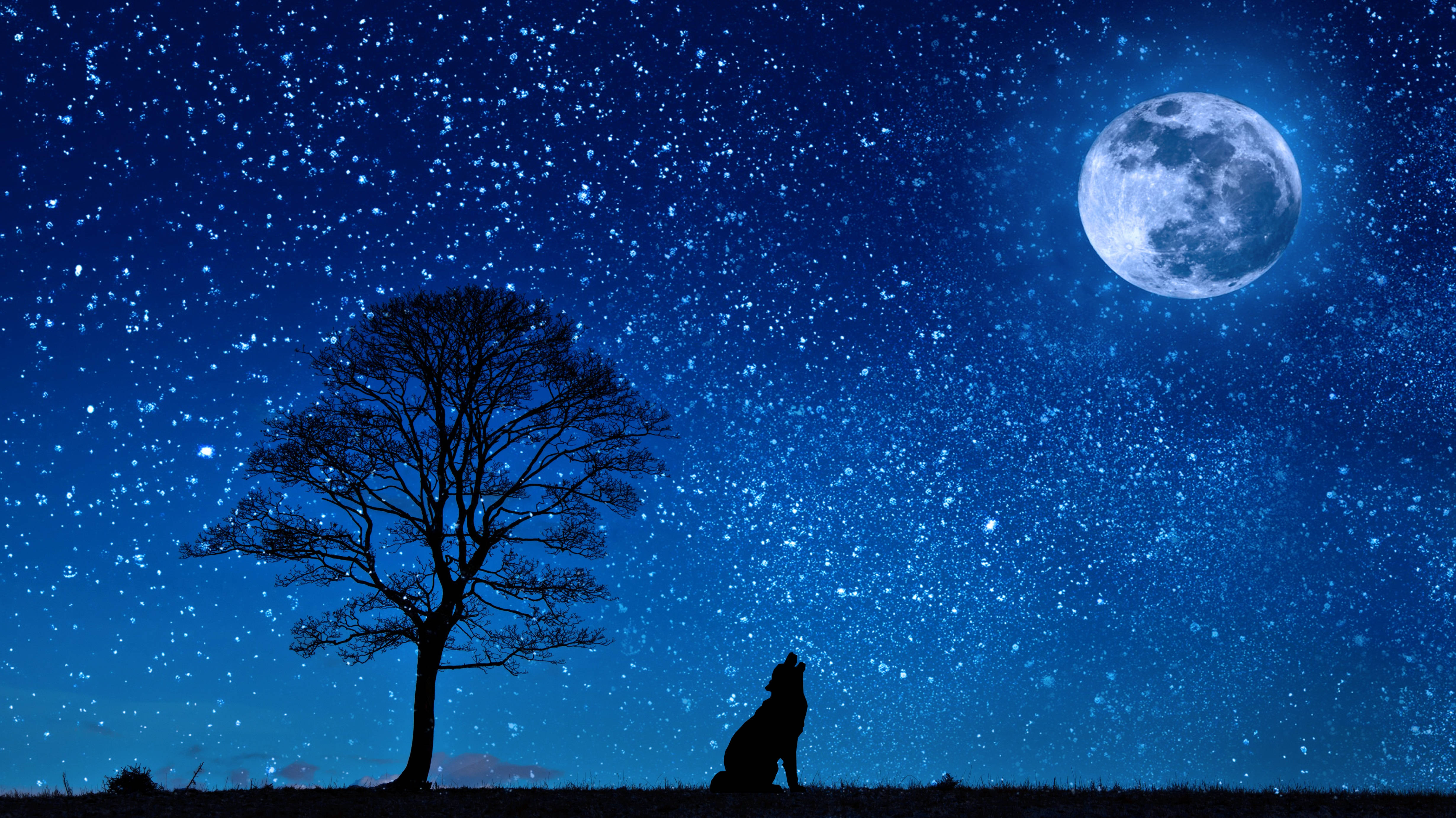 HD Wolf, moon silhouette, giant moon, 4K Desktop Wallpaper