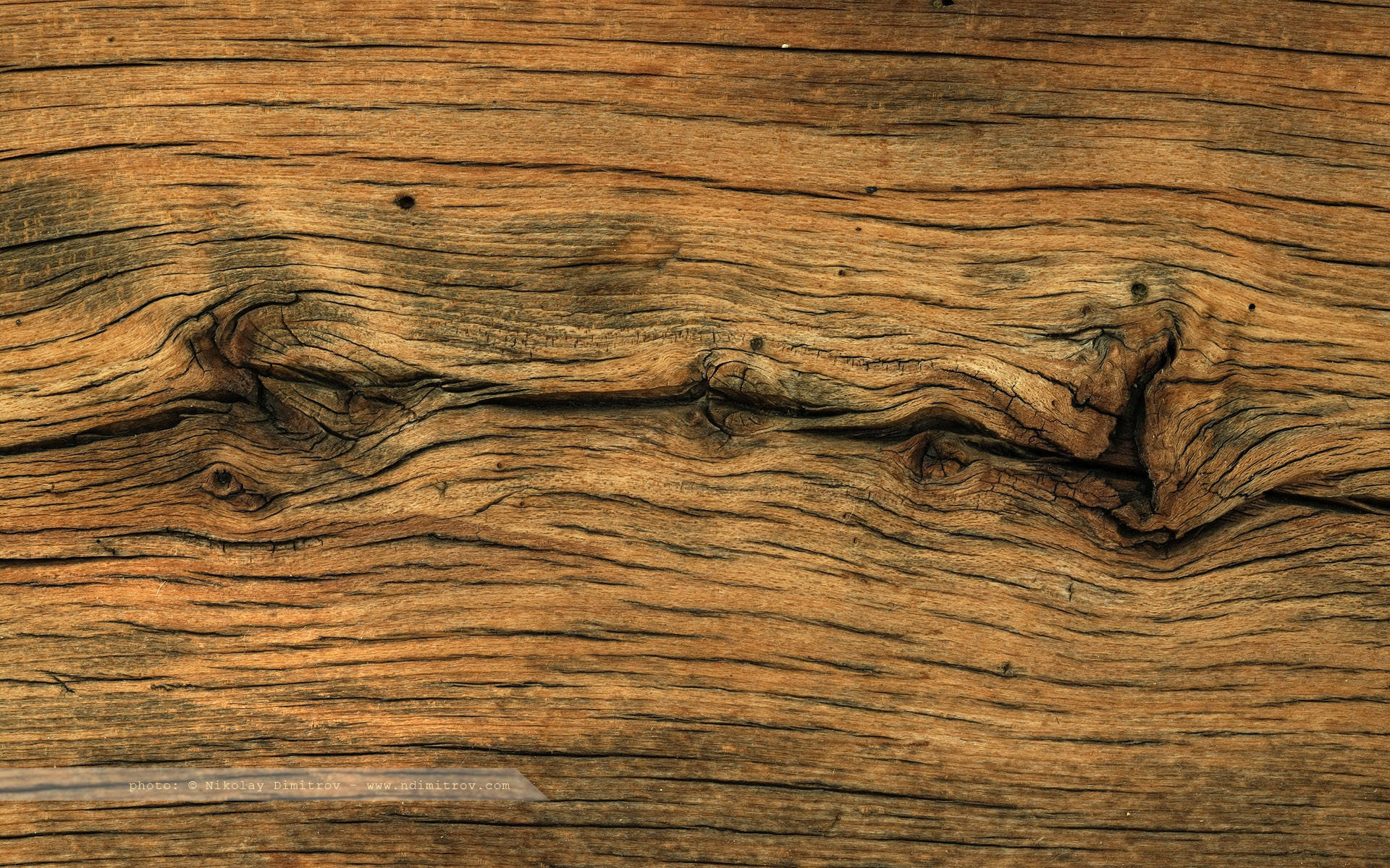 HD Wood, natural contours, weathered wood grain, Full HD Desktop Wallpaper