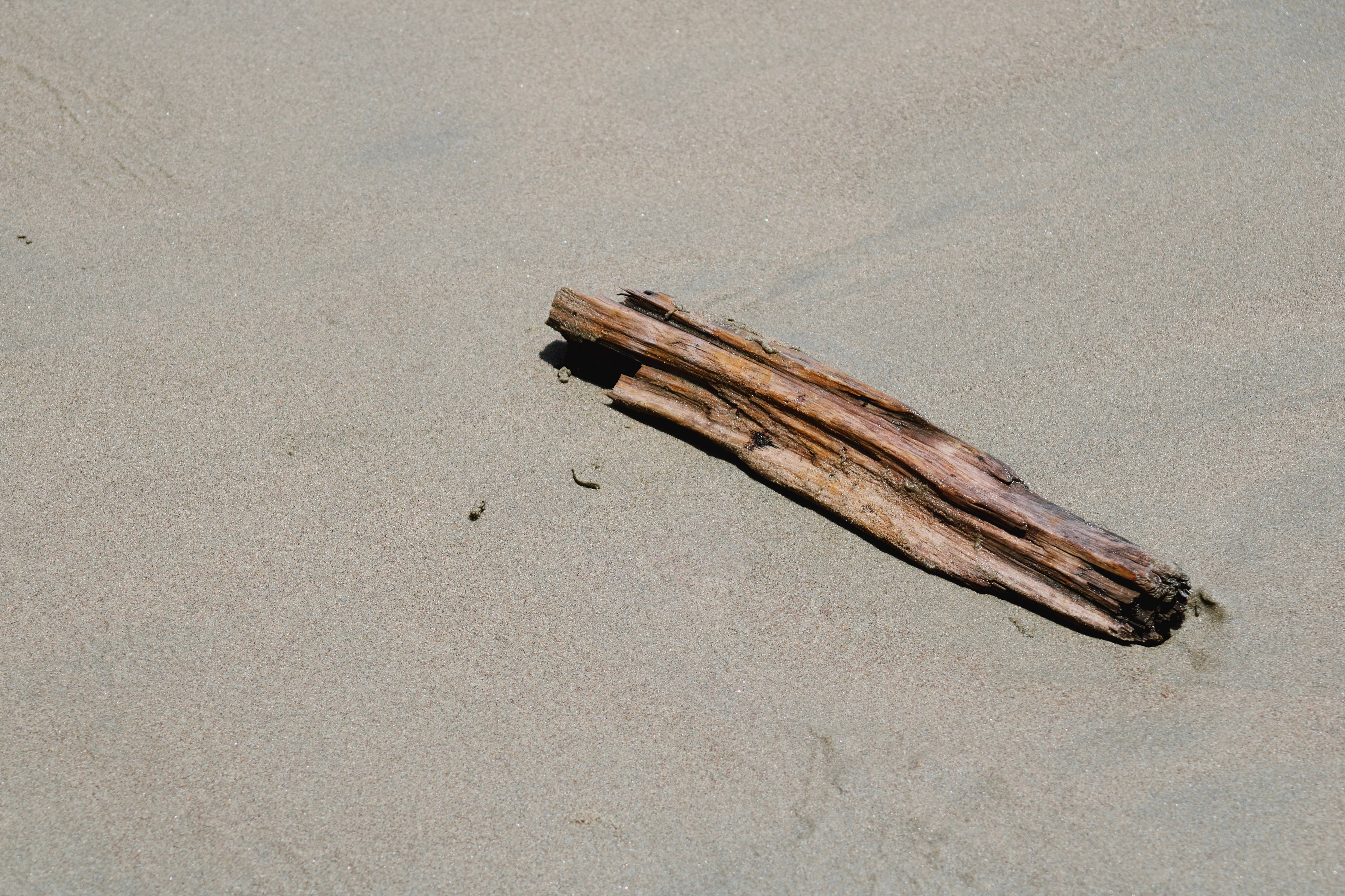 HD Wood, driftwood, damp gray sand, 5K Desktop Wallpaper