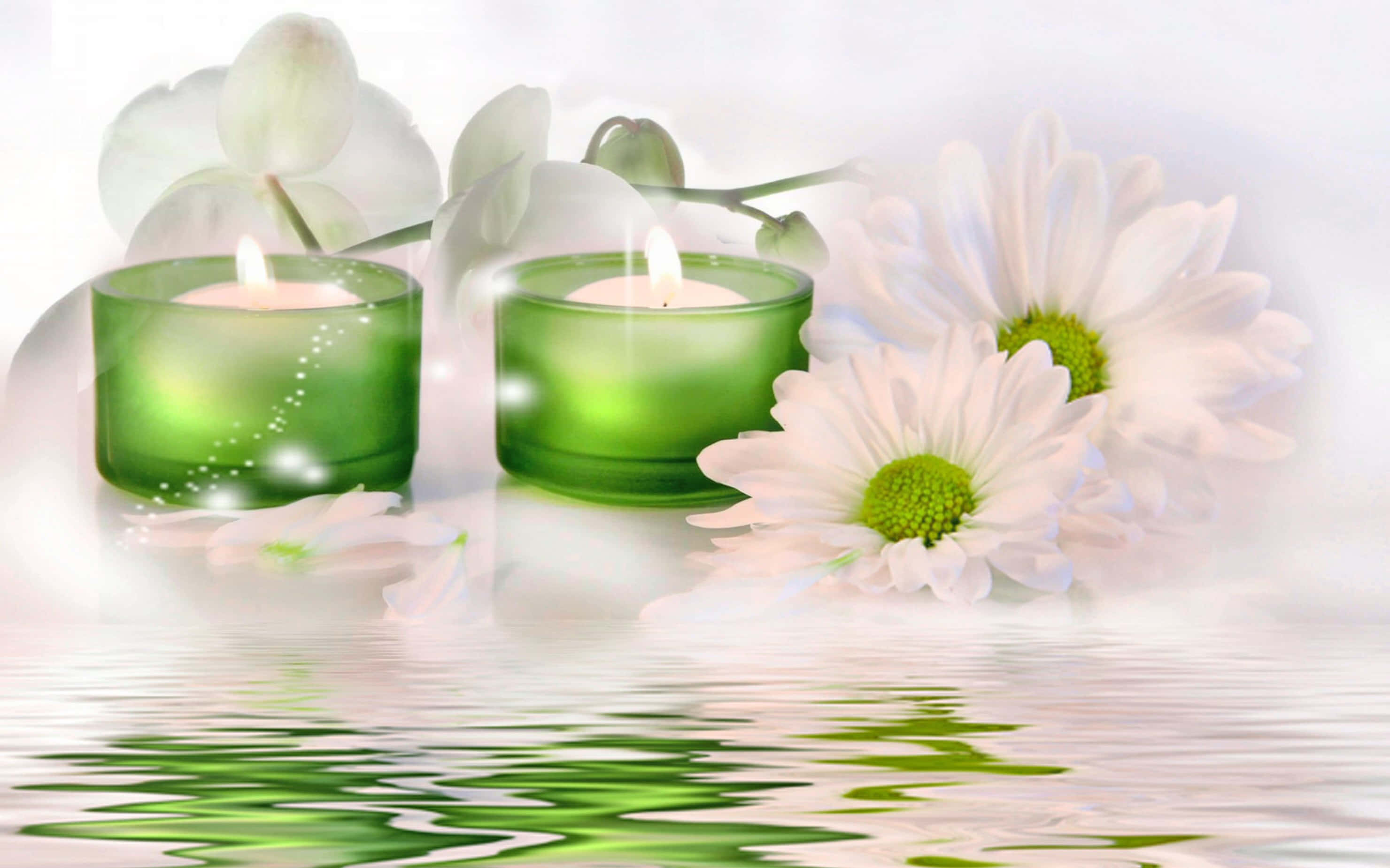 green candles, white daisies, orchids, 2K Desktop Wallpaper
