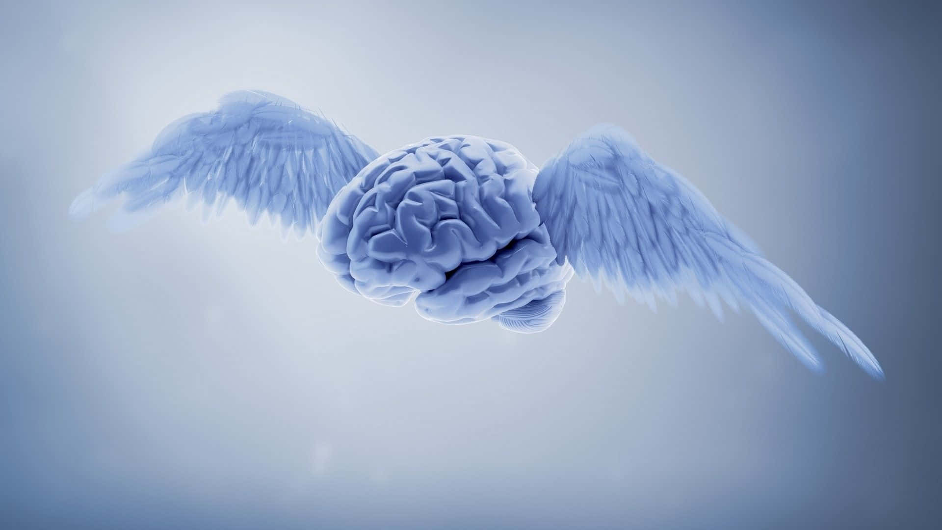 Health And Beauty, glowing brain, feathered wings, Full HD Desktop Wallpaper