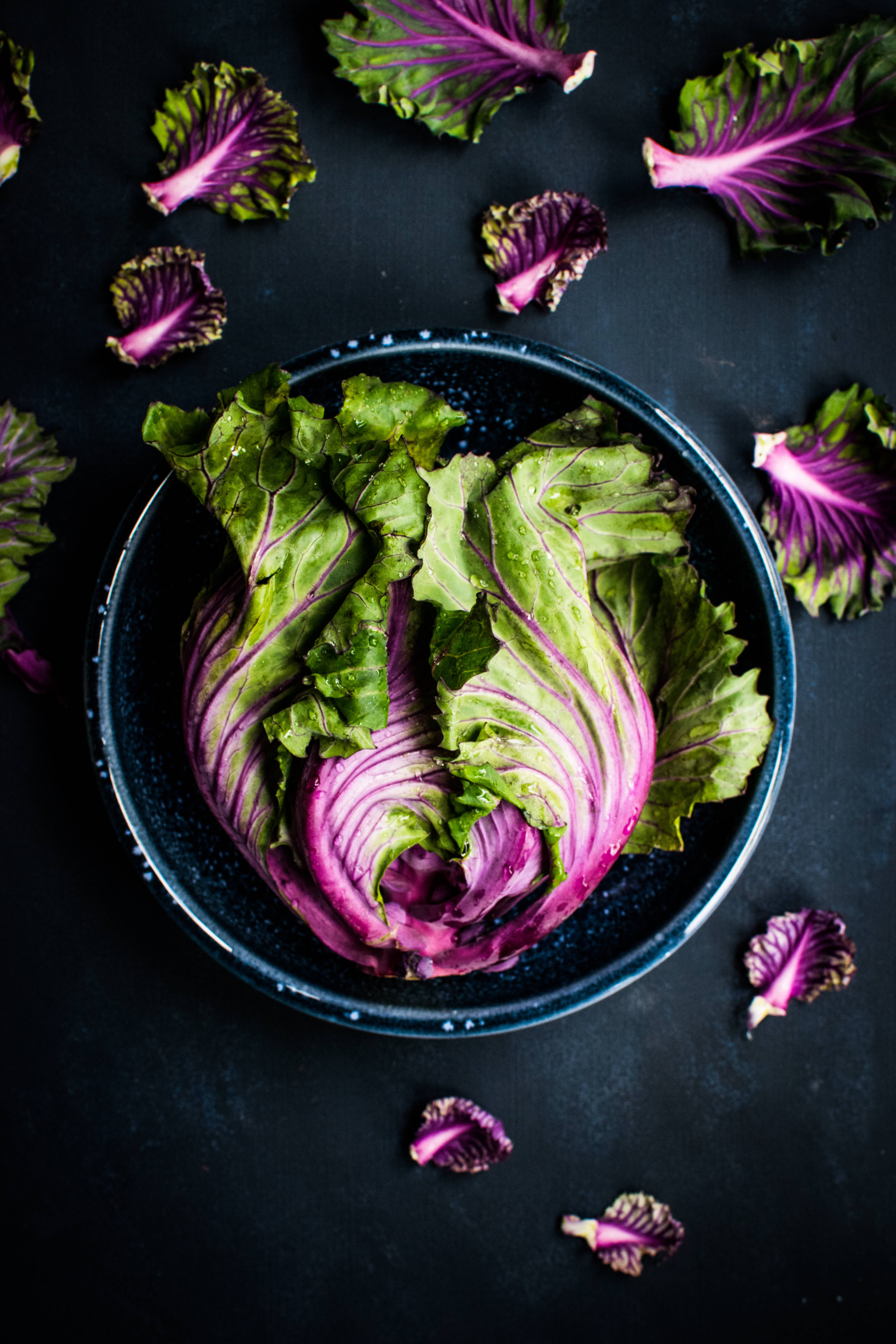 red cabbage, vibrant purple and green cabbage, dark speckled bowl, 5K Phone Wallpaper