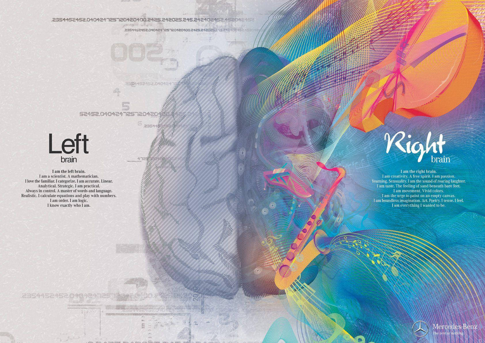 medical brain parts chart, left and right hemispheres, contrasting colors, HD Desktop Wallpaper