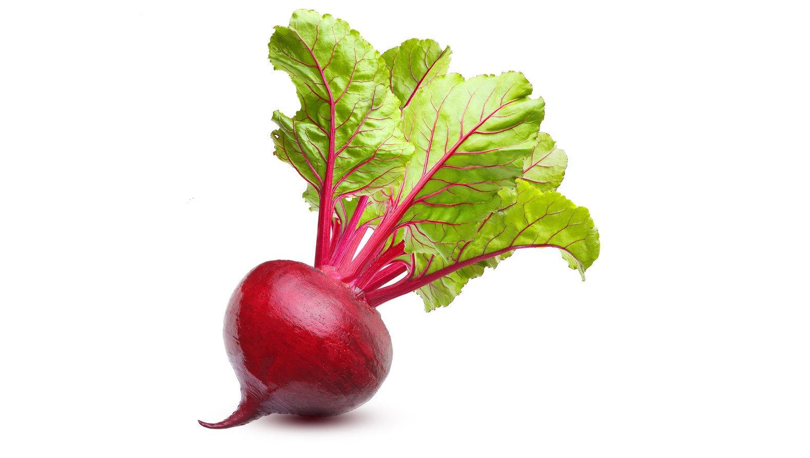 beetroot, vibrant red, lush green leaves, HD Desktop Wallpaper