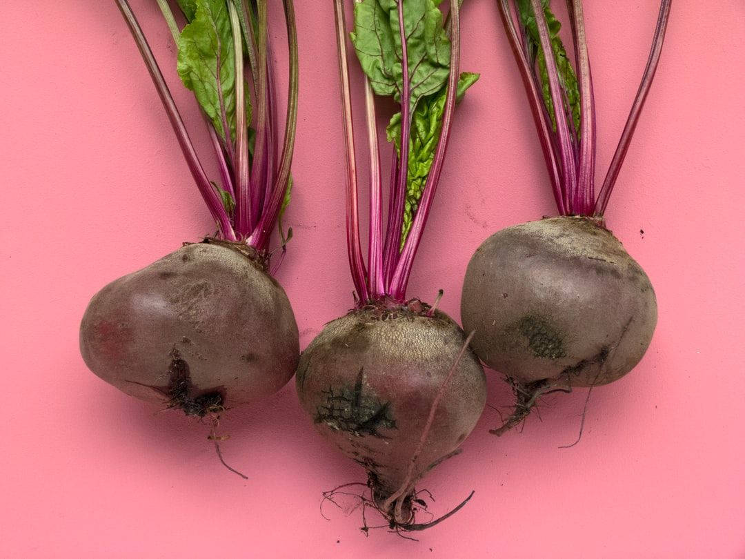 beetroot vegetables, green leaves, purple stems, SD Desktop Wallpaper