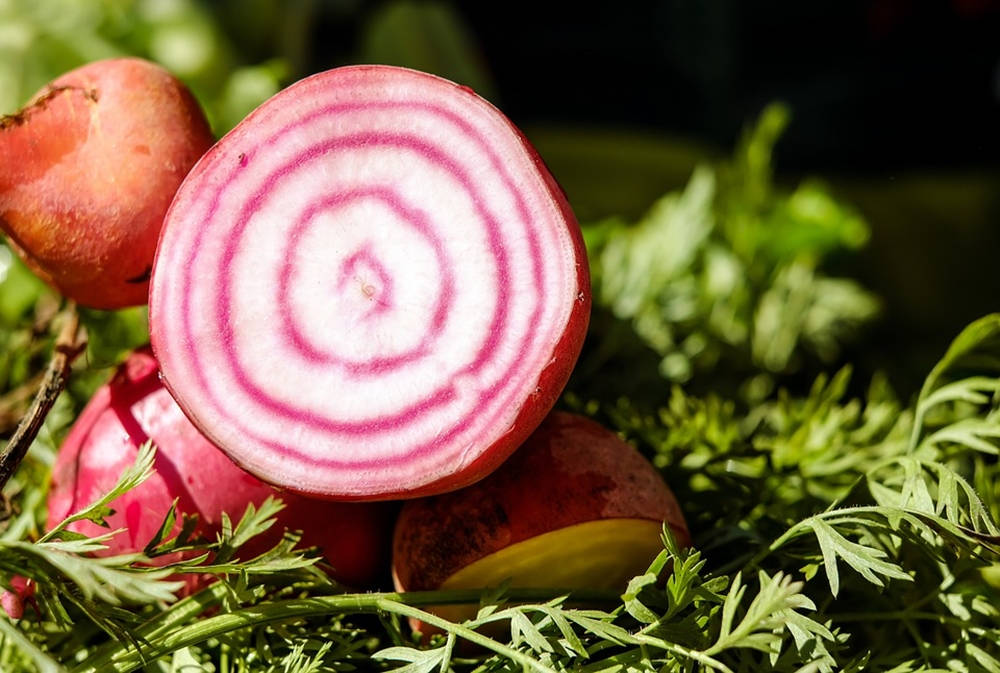 sliced beetroot, white flesh, pink and white concentric rings, SD Desktop Wallpaper