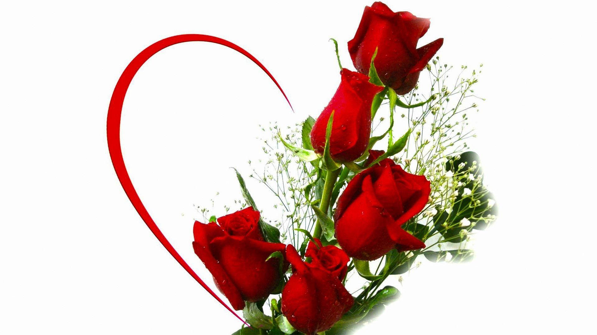 Love Rose Half Heart, vibrant red roses, heart-shaped ribbon, Full HD Desktop Wallpaper