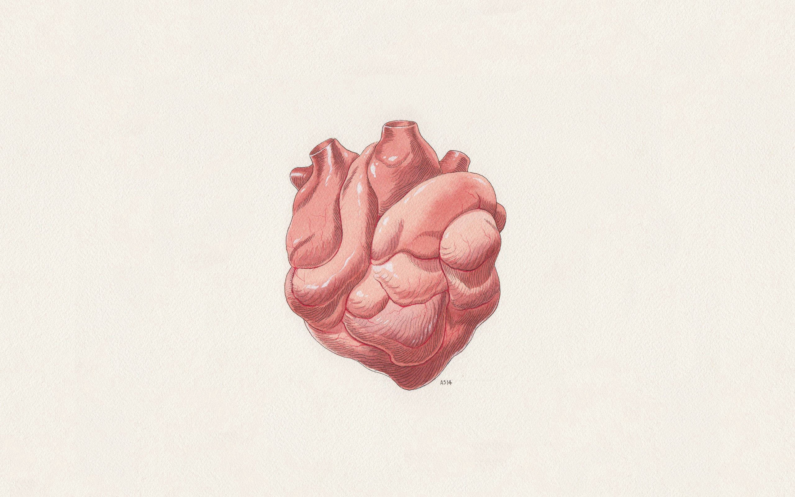 human heart, soft pink tones, textured cream paper, 2K Desktop Wallpaper