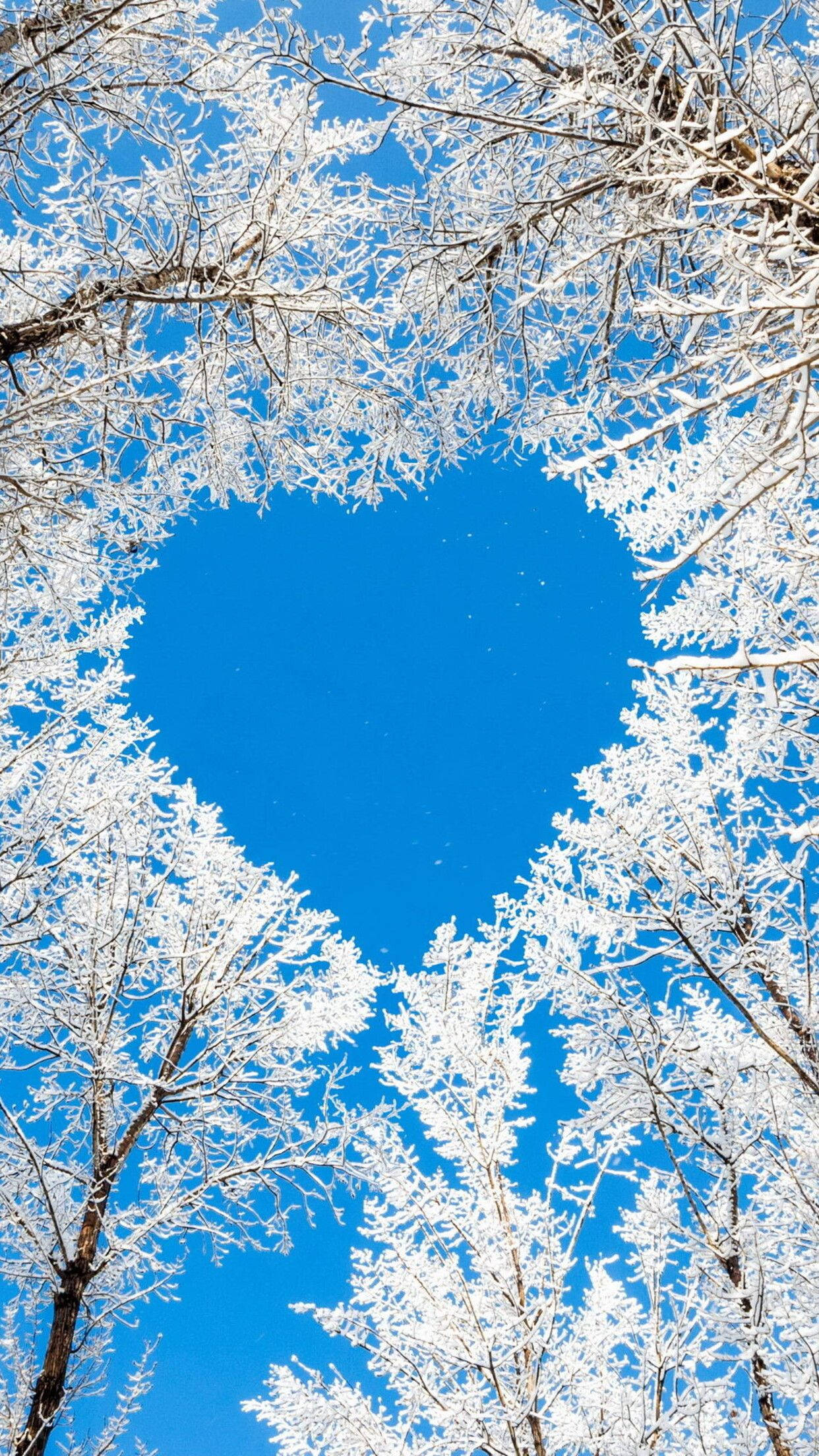 Heart iPhone, frost-covered tree branches, heart shape, Full HD Phone Wallpaper