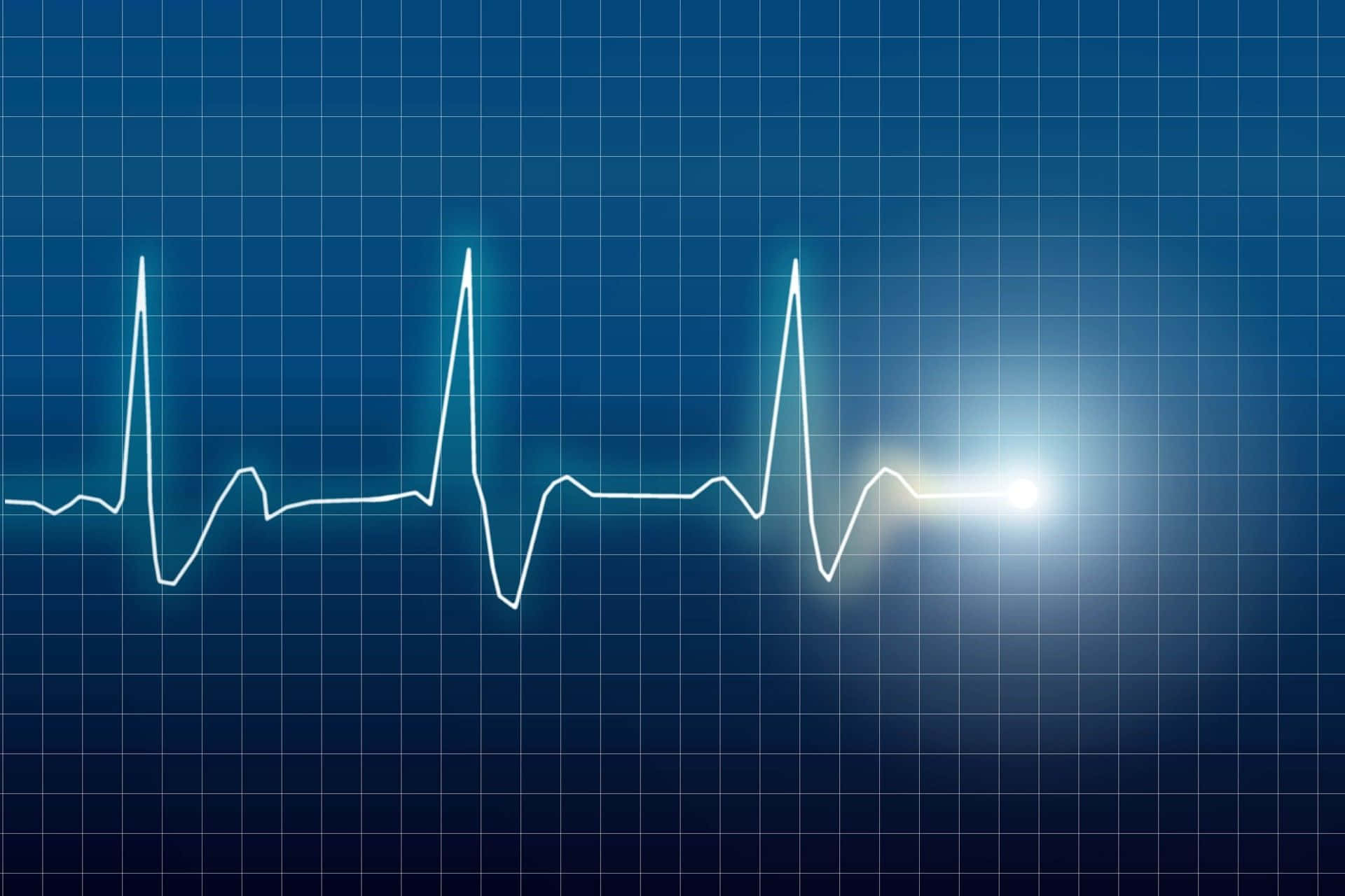 Heart Rate, glowing white electrocardiogram line, dark blue grid background, Full HD Desktop Wallpaper