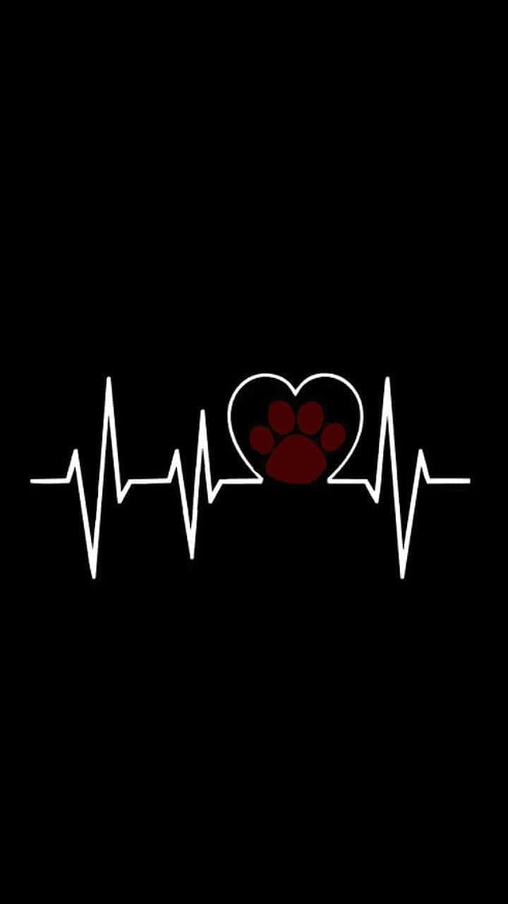 Heart Rate, white heartbeat line, black background, HD Phone Wallpaper