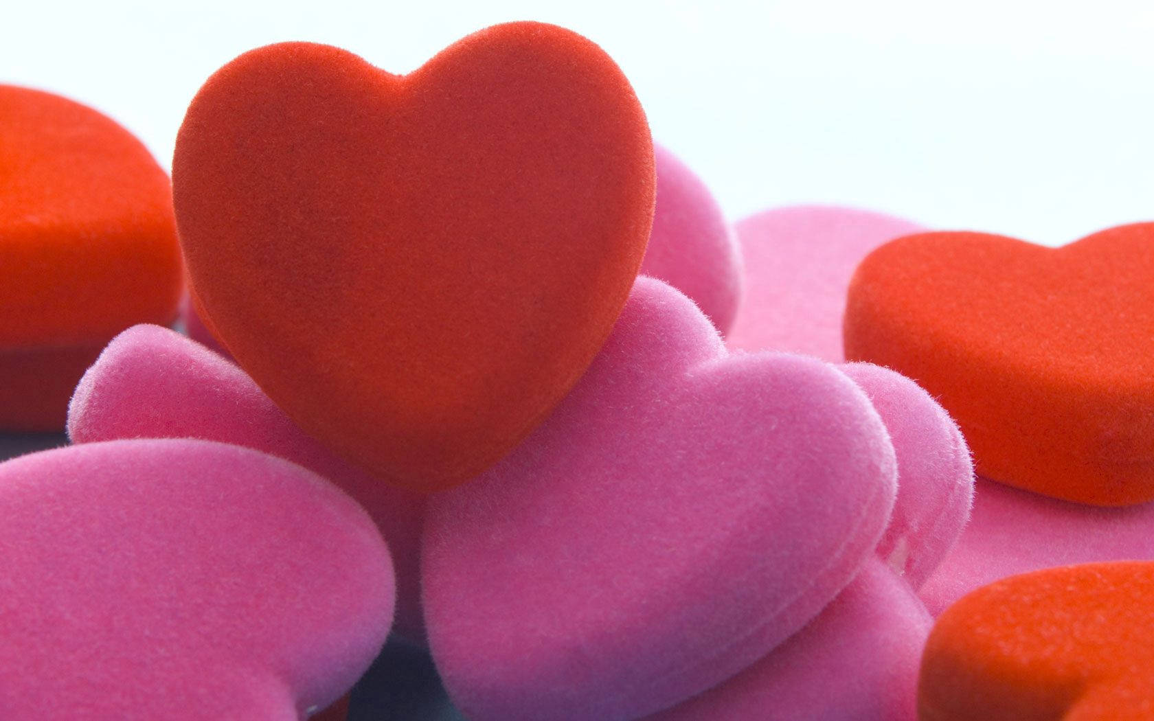 red and pink felt hearts, shallow depth of field, bright white background, HD Desktop Wallpaper